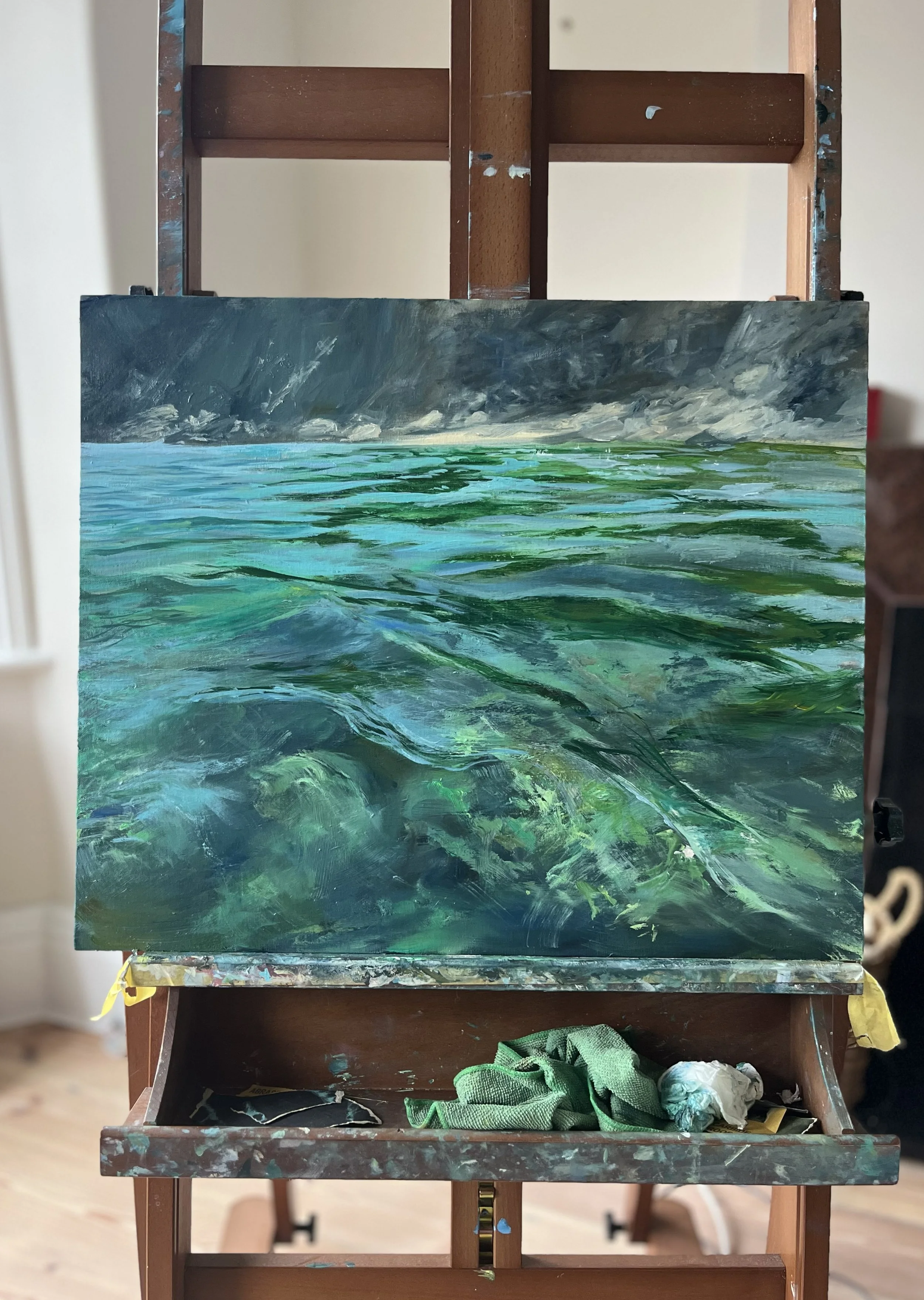 50 Shades of Green: Swanpool