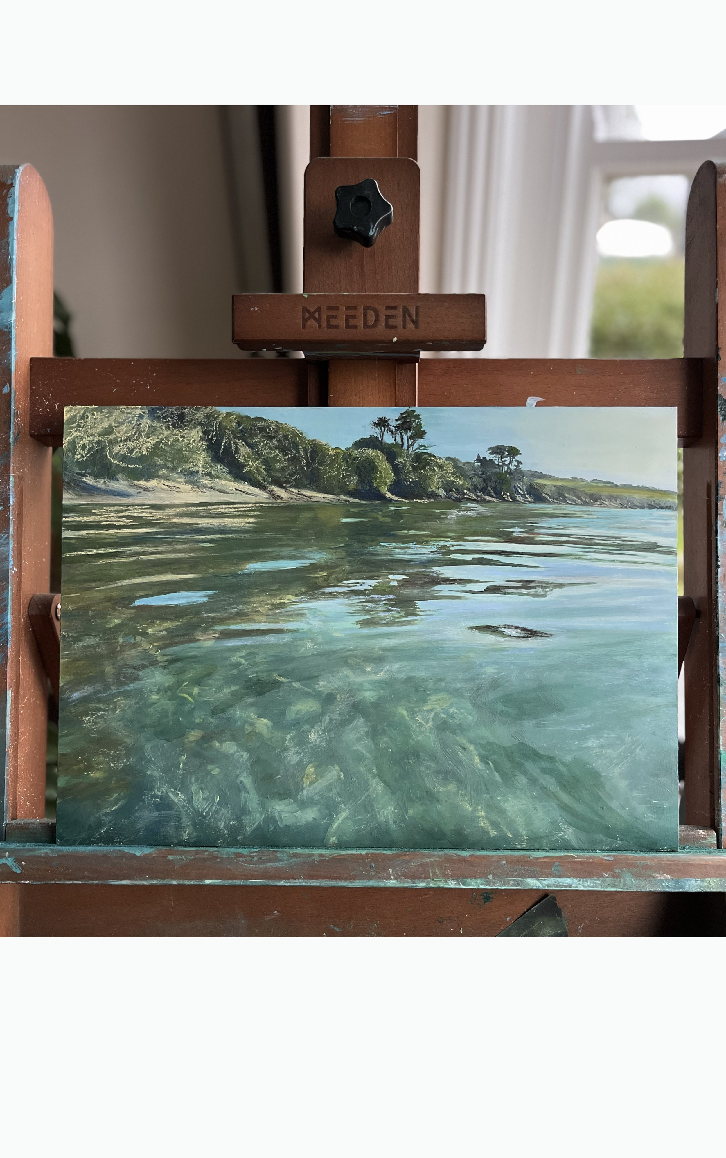 Ritual Morning Swim - Grebe Beach