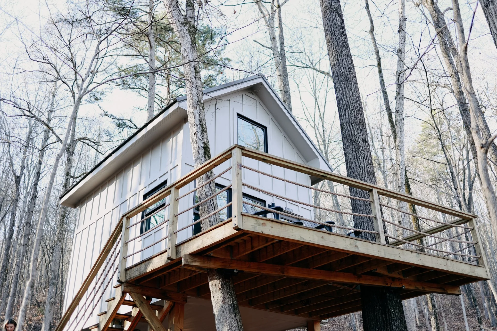 Pine Treehouse 2024 (2).jpg