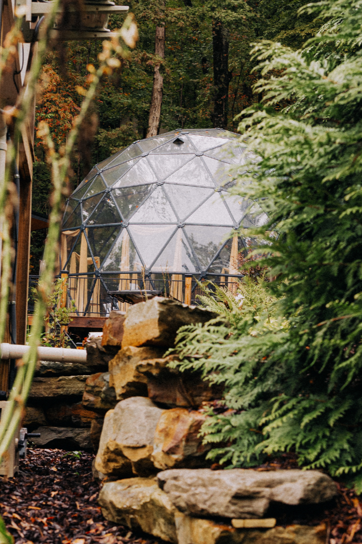 A glass geodesic dome on a deck surrounded by trees and greenery in a lush backyard.
