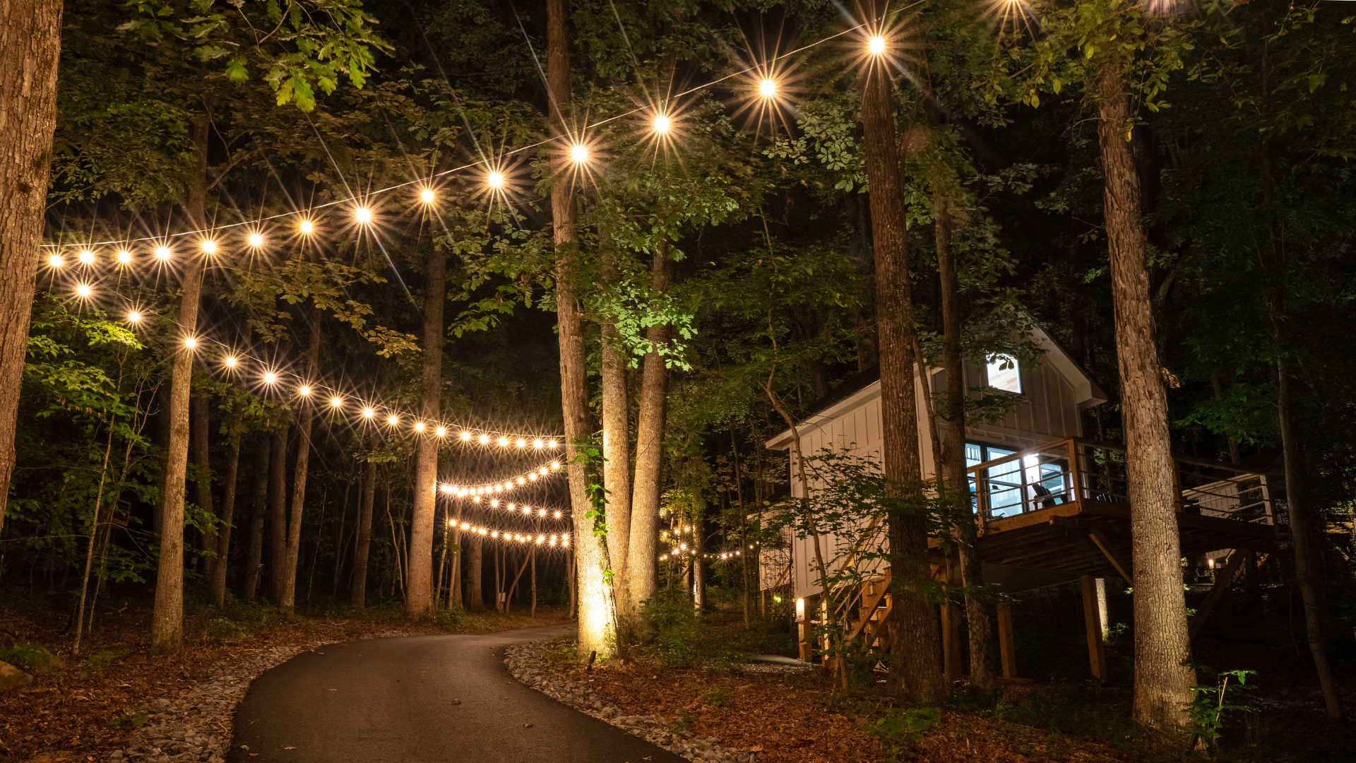 Treehouses set in the woods with string lights across the pathways