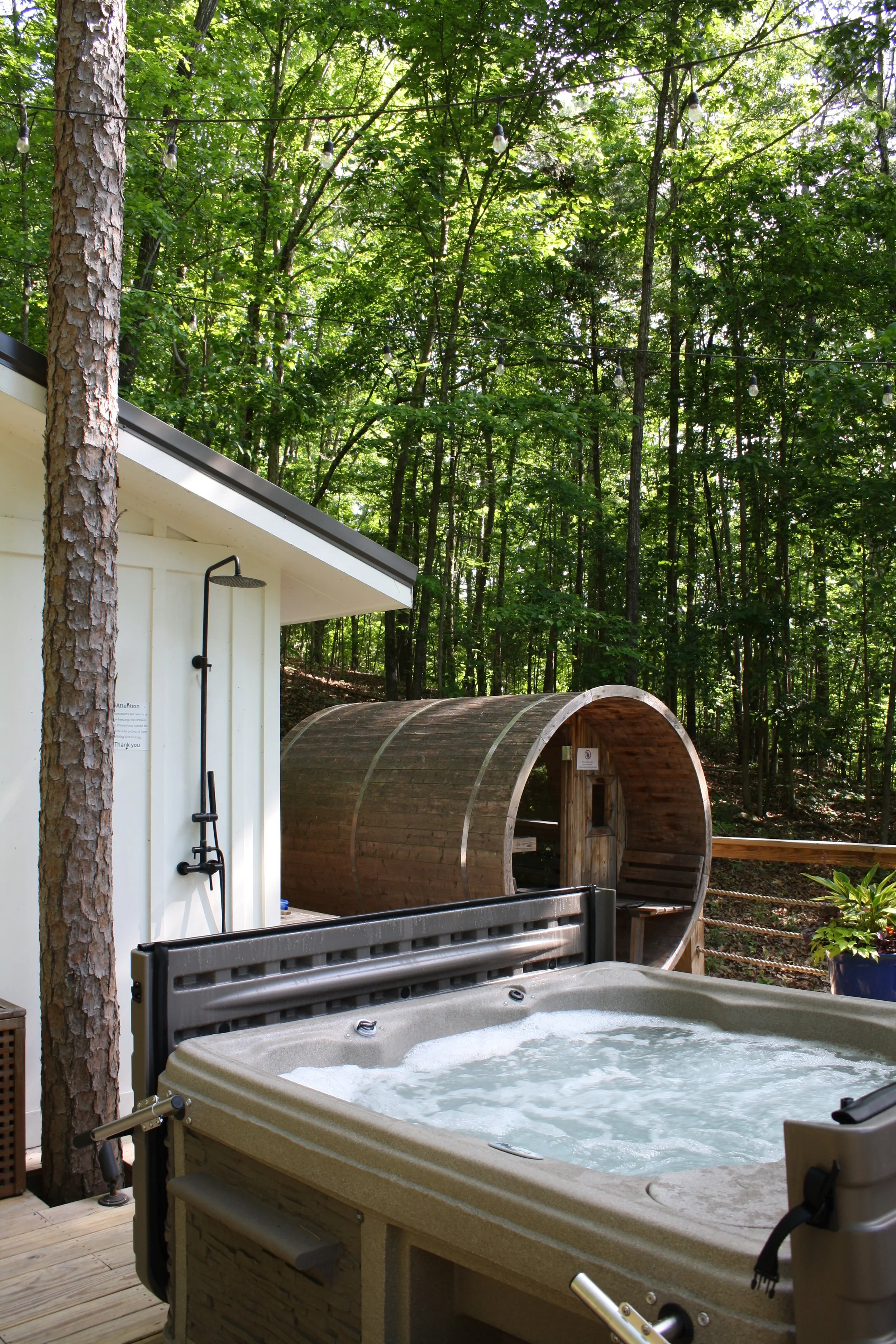 Tree Spa