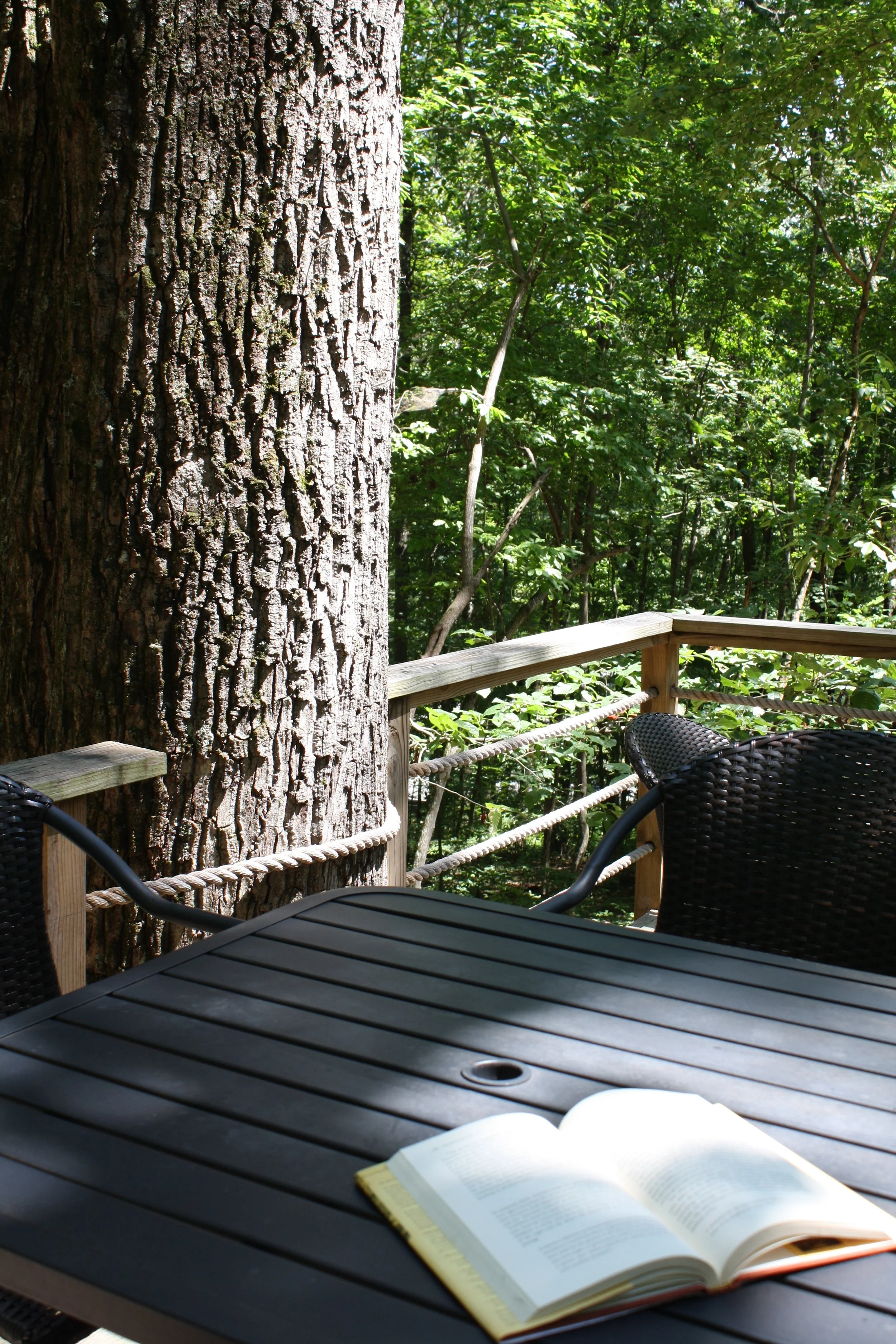 Open book on a patio table with outdoor scenery of trees and a large tree trunk in the background, and an outdoor seating area with a railing.