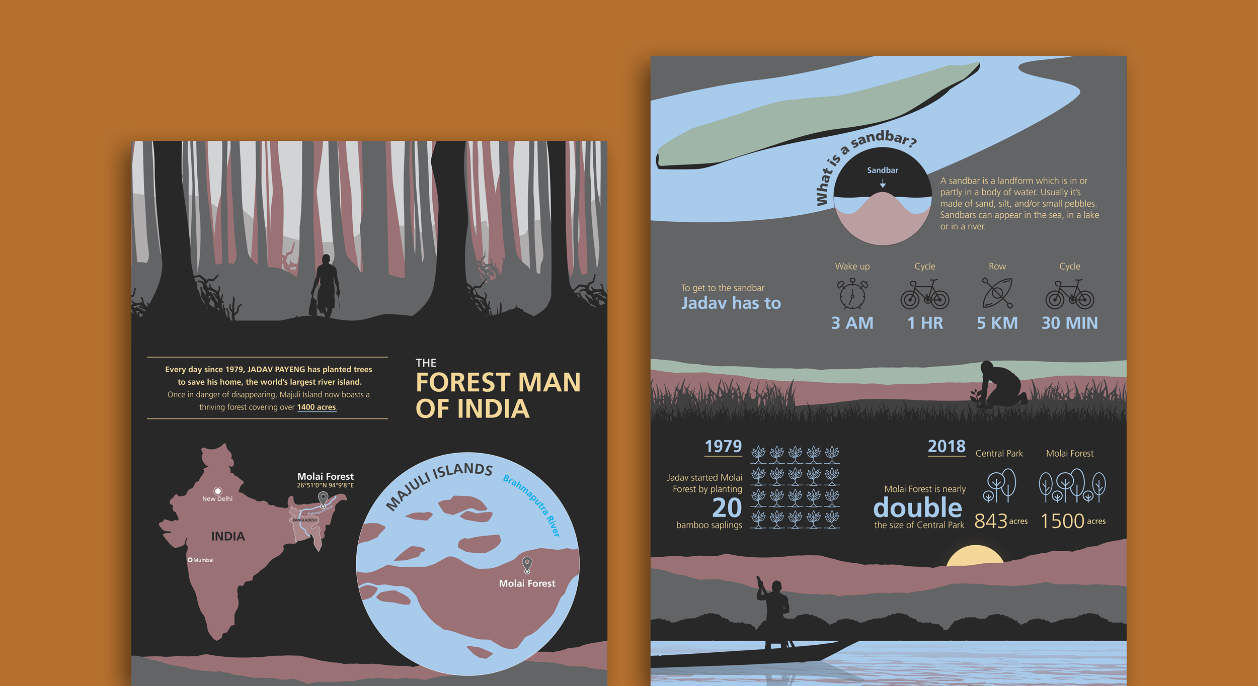 Forest-Man-of-India-Infographic-Landscape-web.png