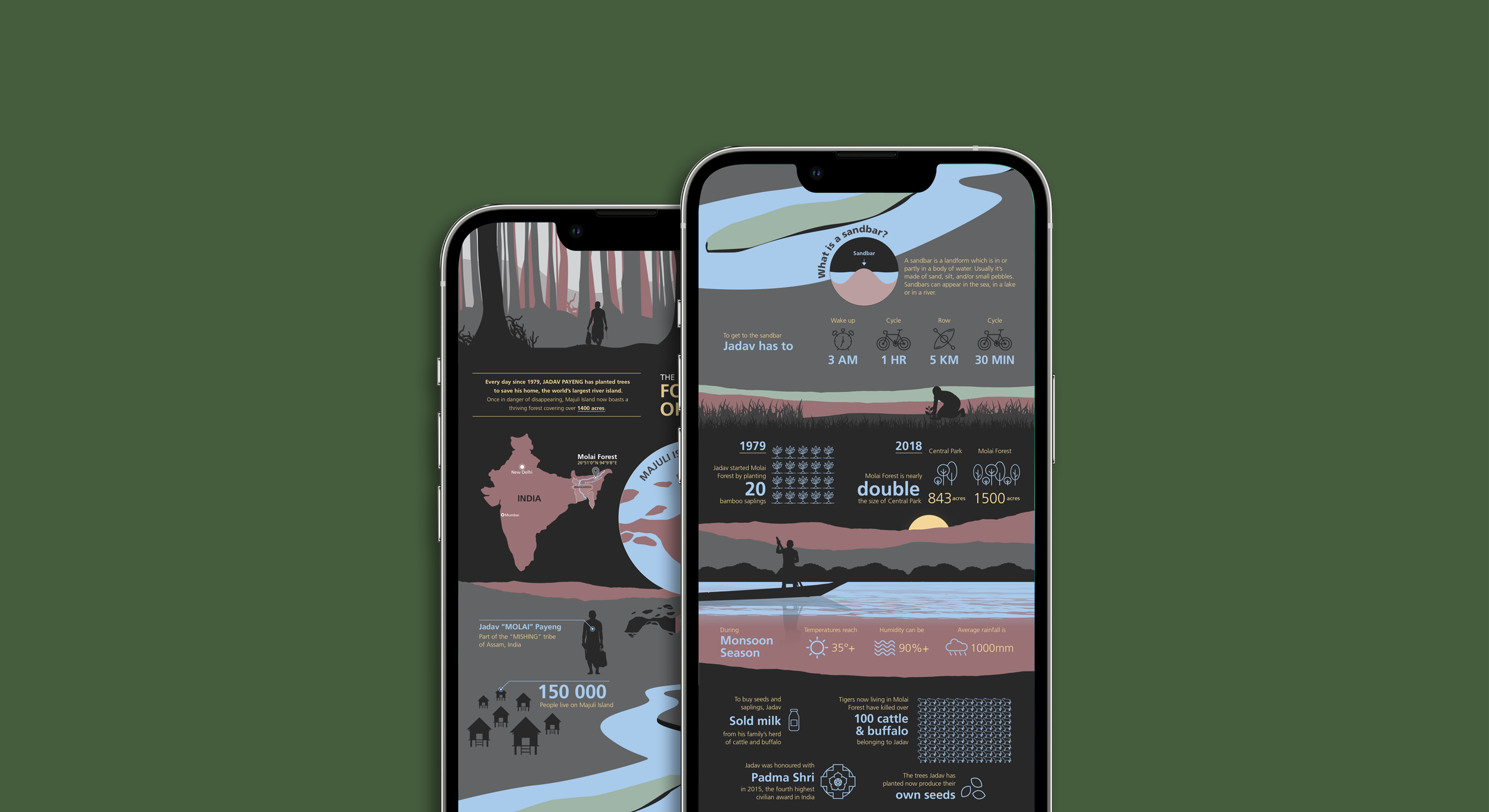 Forest-Man-of-India-Infographic-Landscape2-web.png