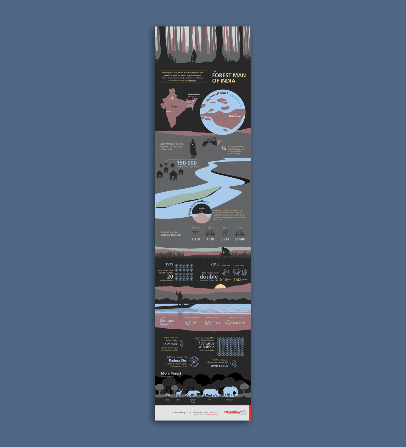 Forest-Man-of-India-Infographic-Portrait2-web.png