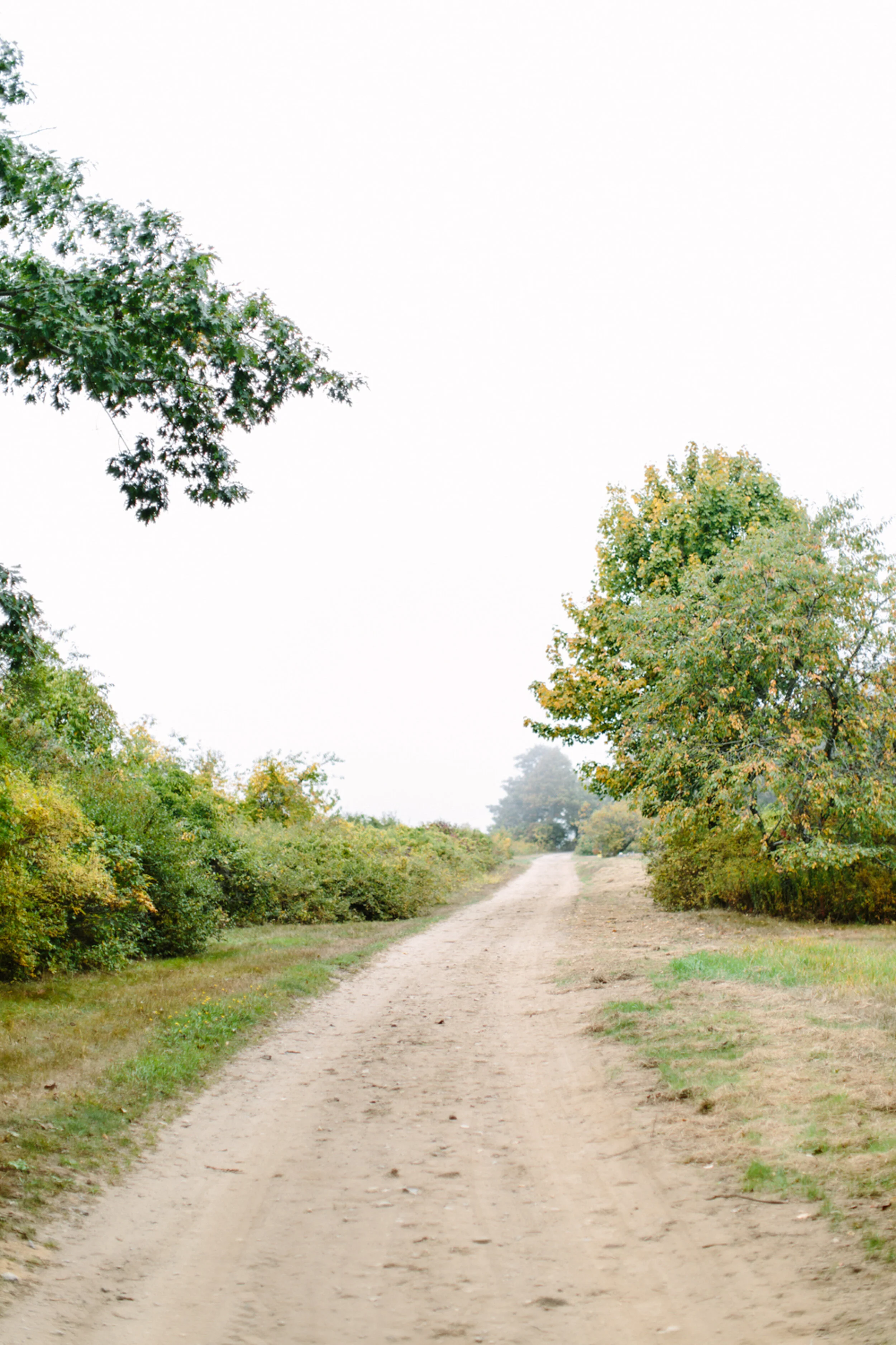 old country road maine