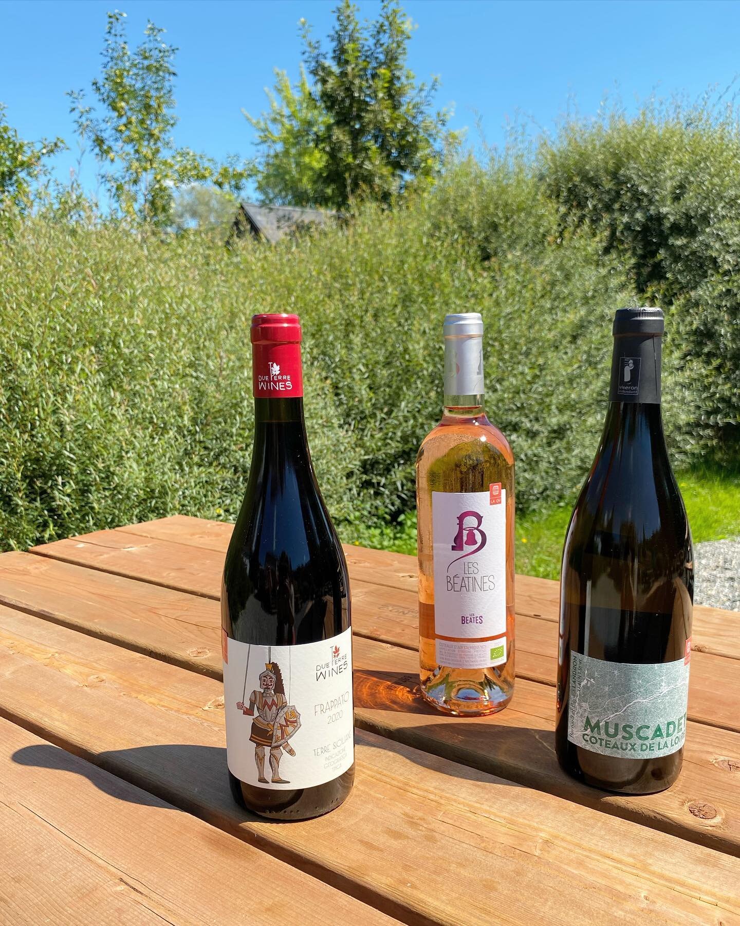 Qu'est-ce qu'on ouvre?

@dueterrewines 
@domainelandronchartier 
@lesbeates

A few favorites are back plus a brand new Italian red just waiting for you. 

#lacievilandre #vinbio #sundayfunday