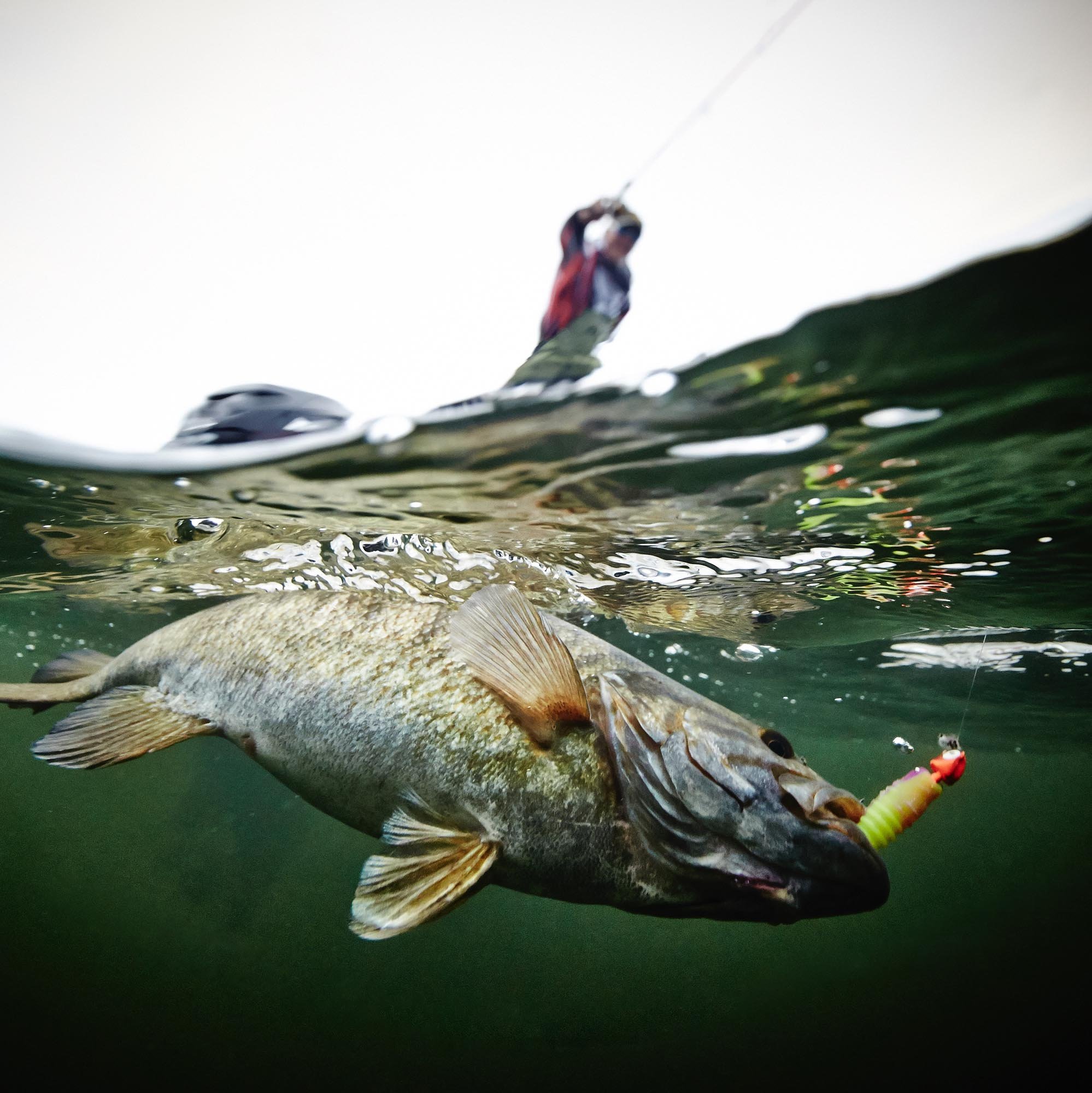 Freshwater Fishing Photography  Fishing Photographer — Milburn