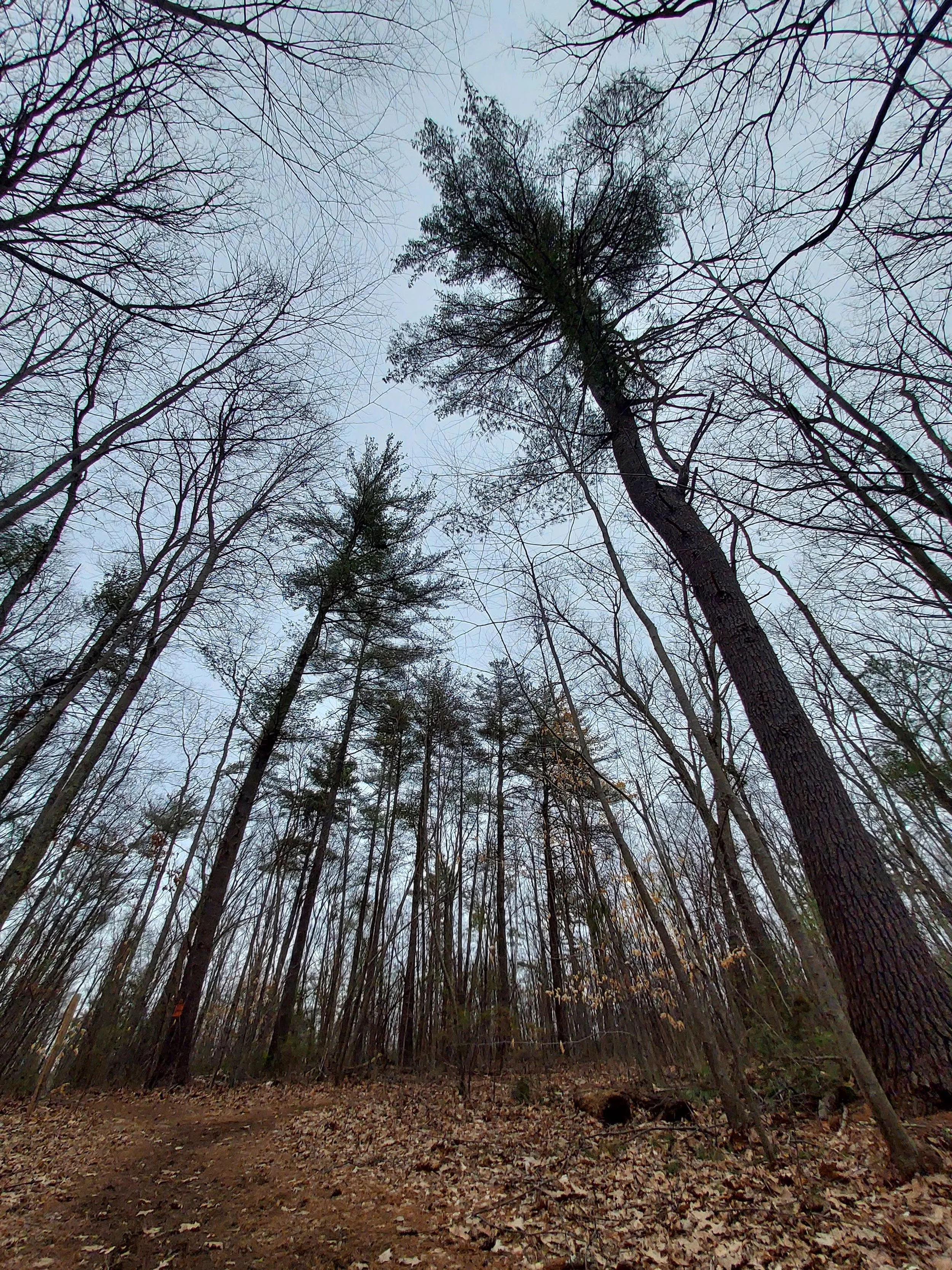 Mount Willard Group Hike + Sunset Meditation