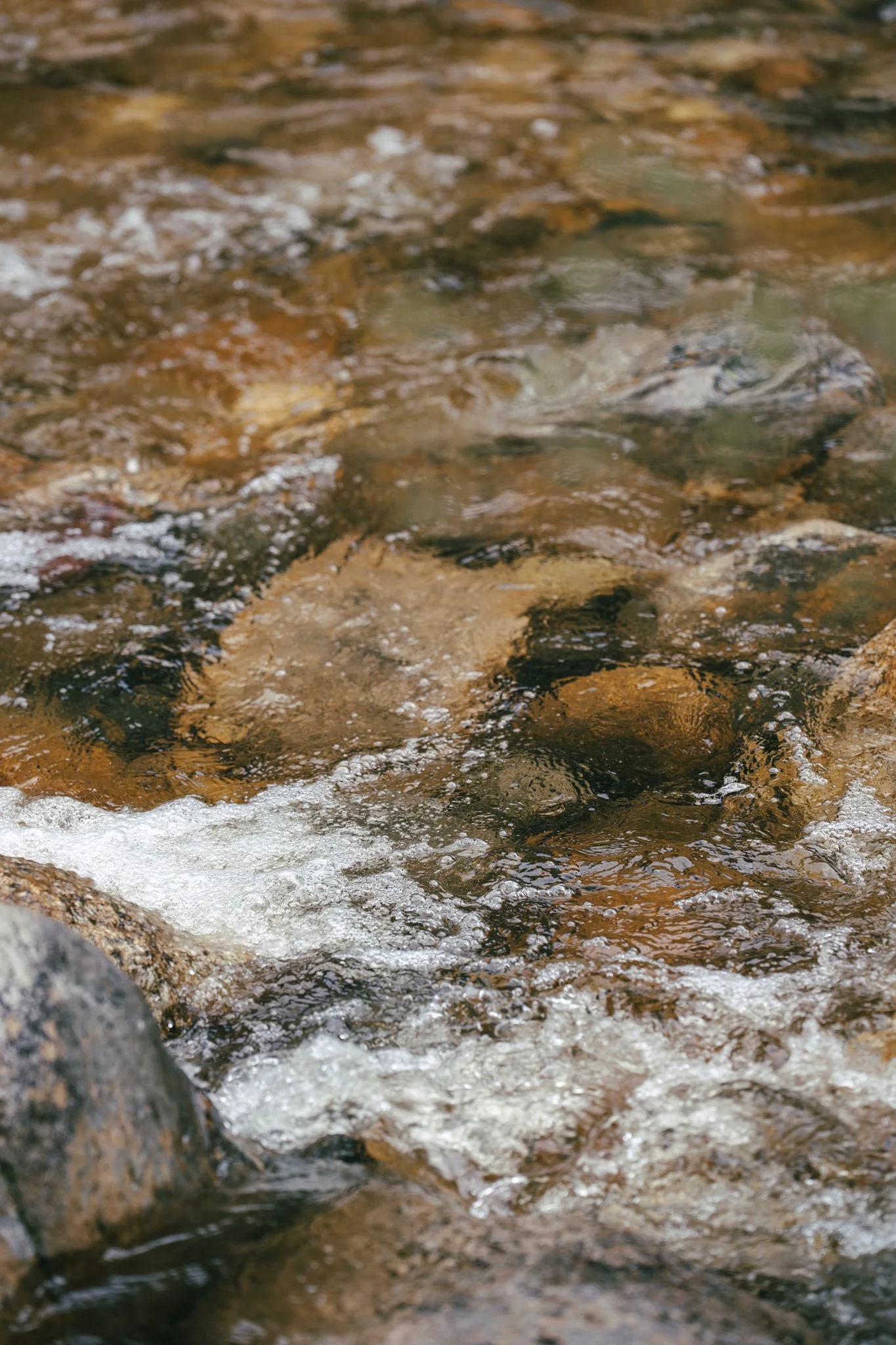 Paddle + Mindfulness Adventure W/ Forest Society