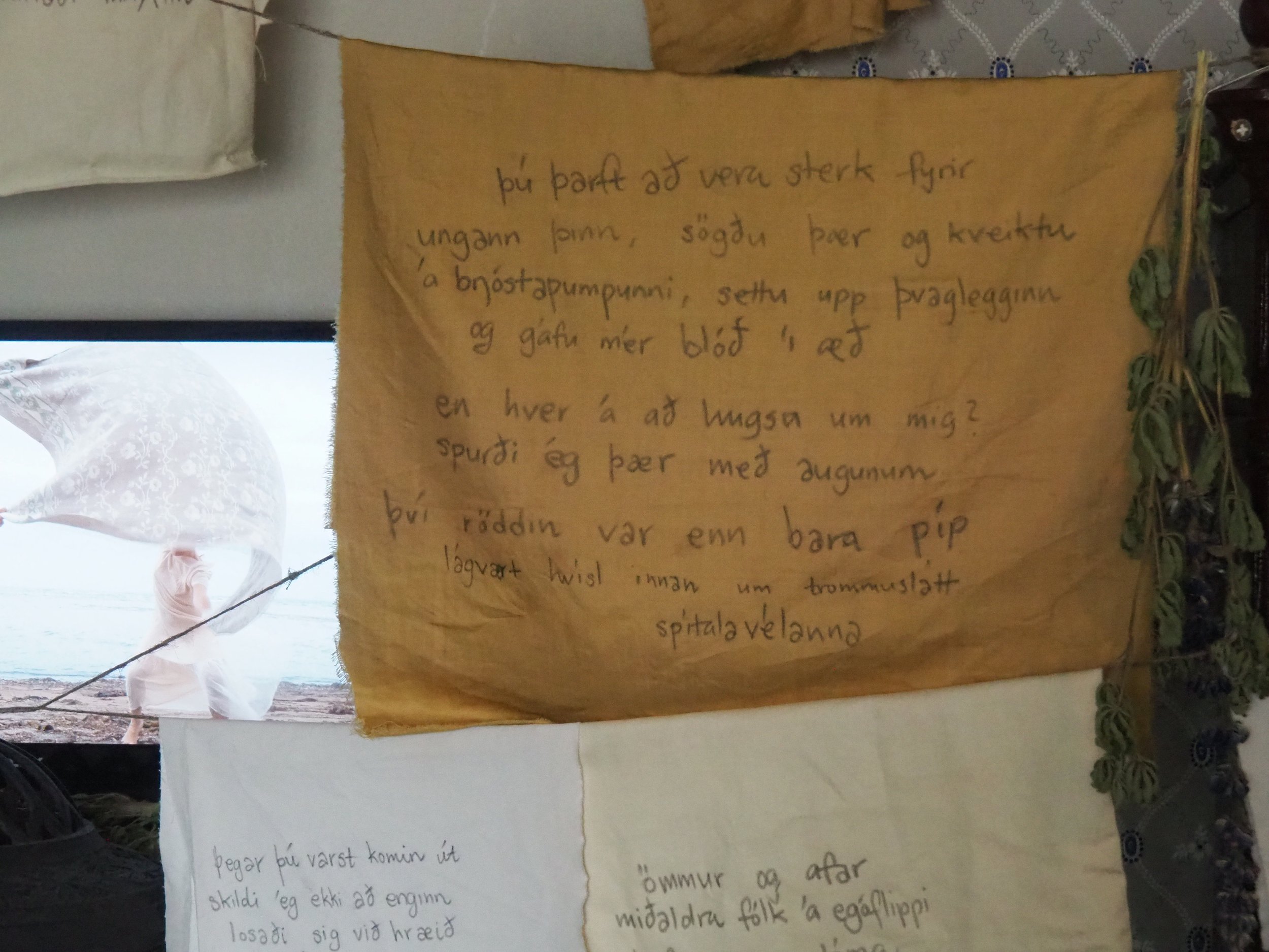 P1012445.jpeg