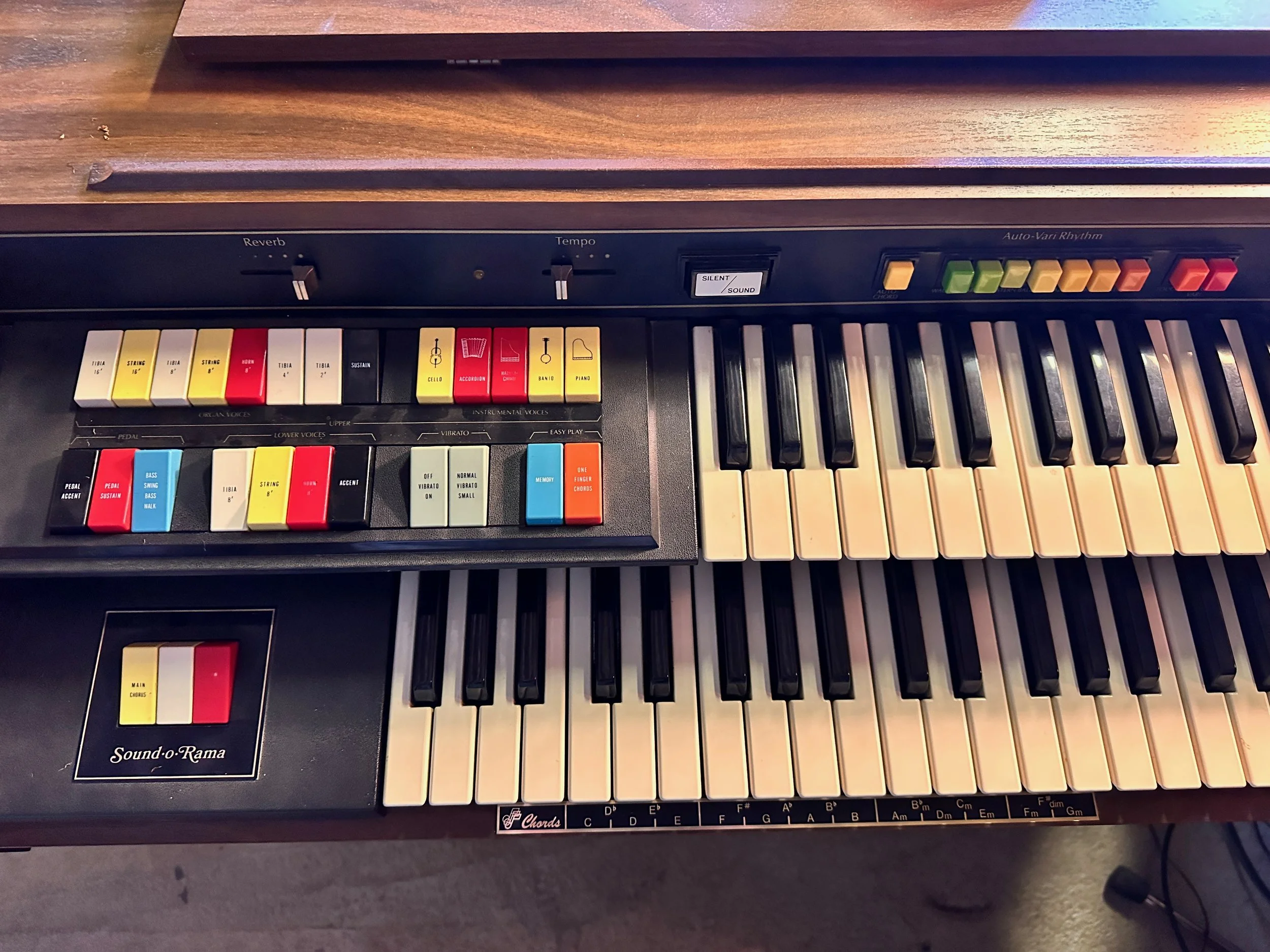 OceanusHafsjor-July2023-DjuneidDulloo-Photos - 33.jpeg