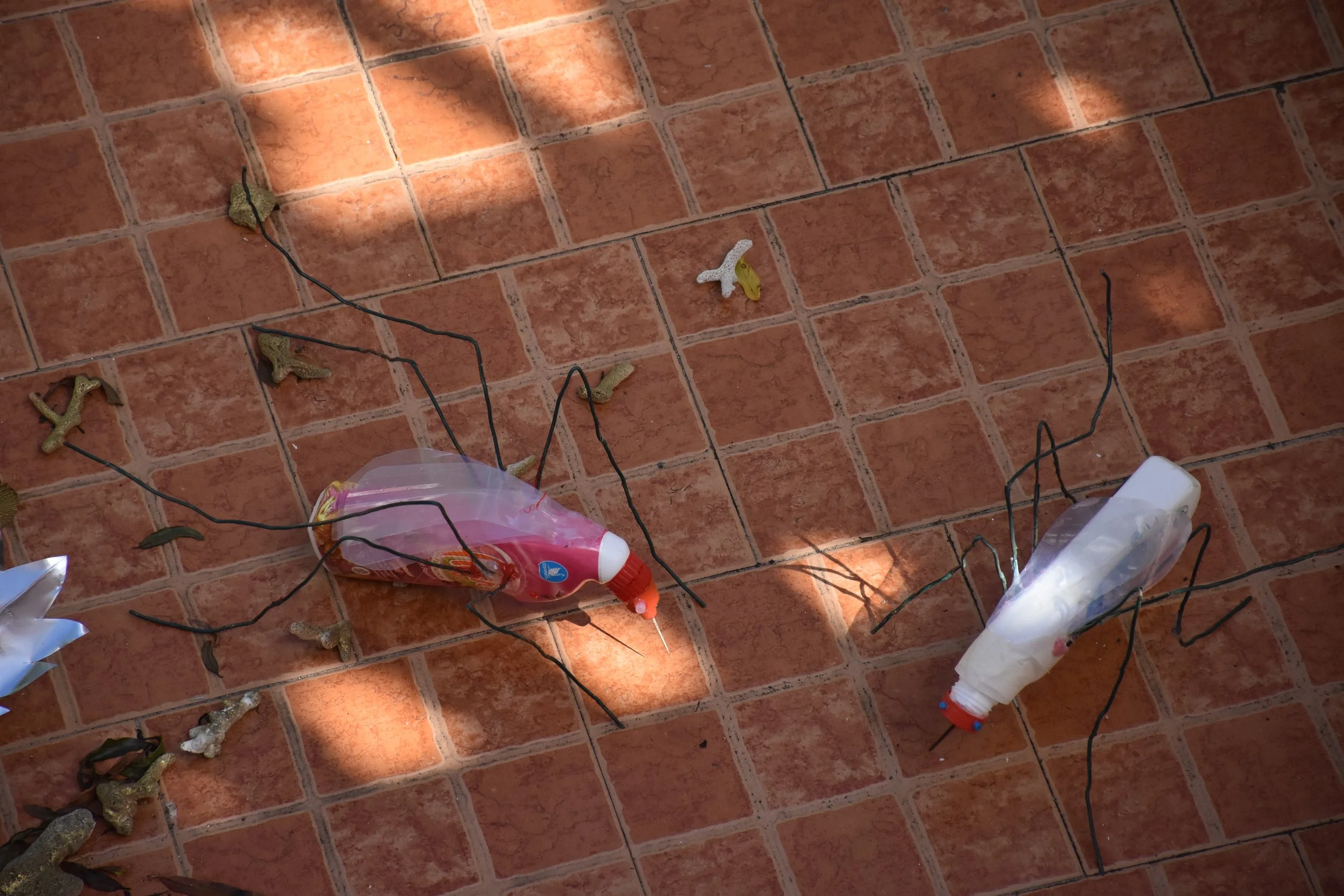 DSC_6054.JPG