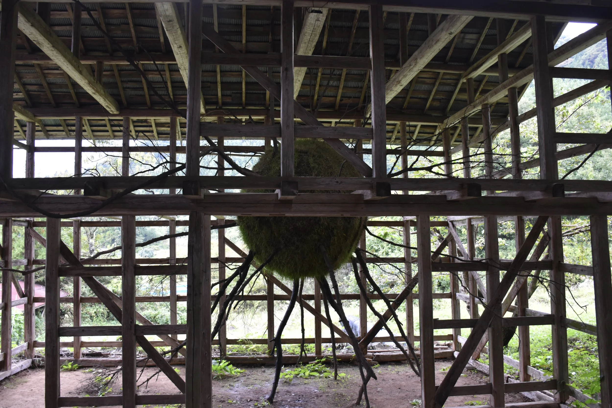 2024-09-05 14.10.29.jpg