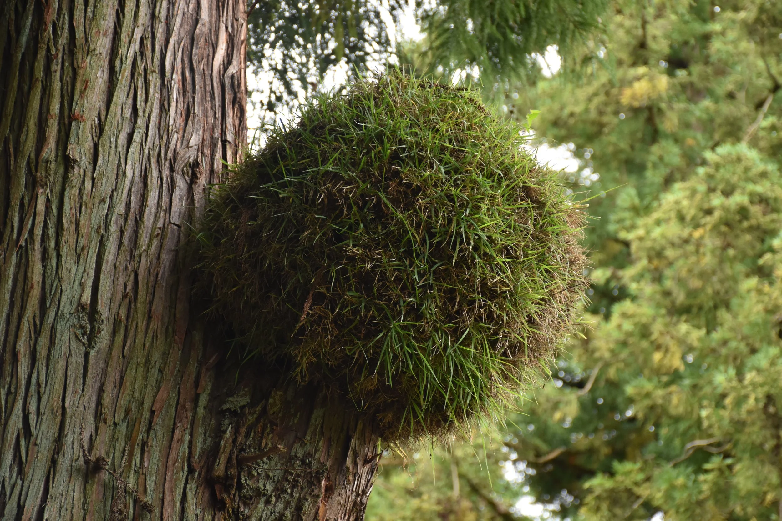 2024-09-05 14.23.32.jpg