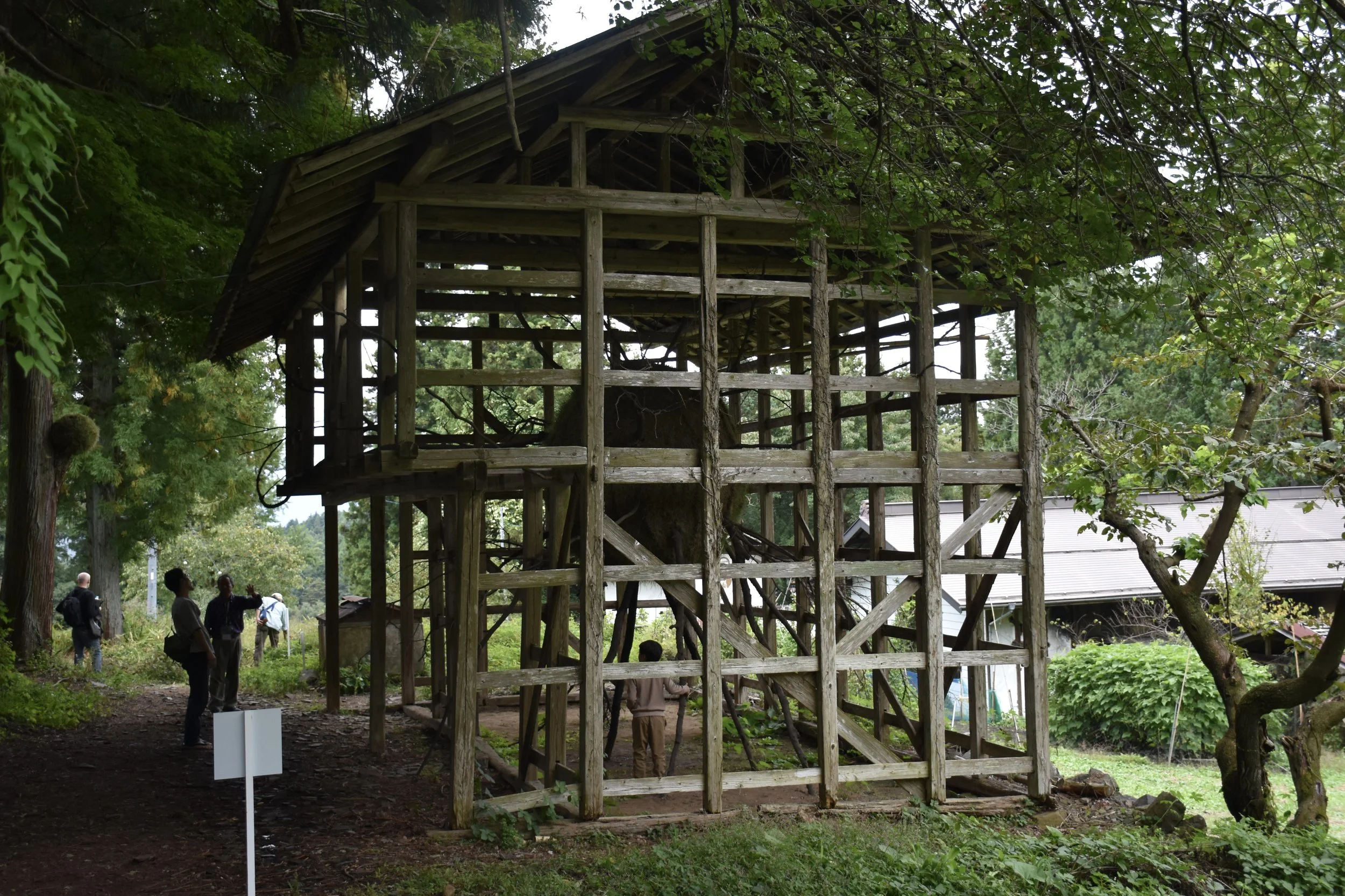 2024-09-05 14.22.33.jpg