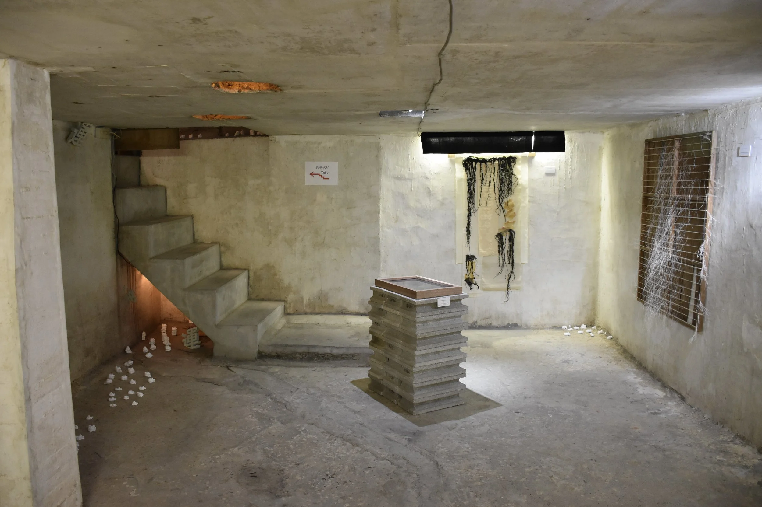 2024-09-25 15.15.10.jpg