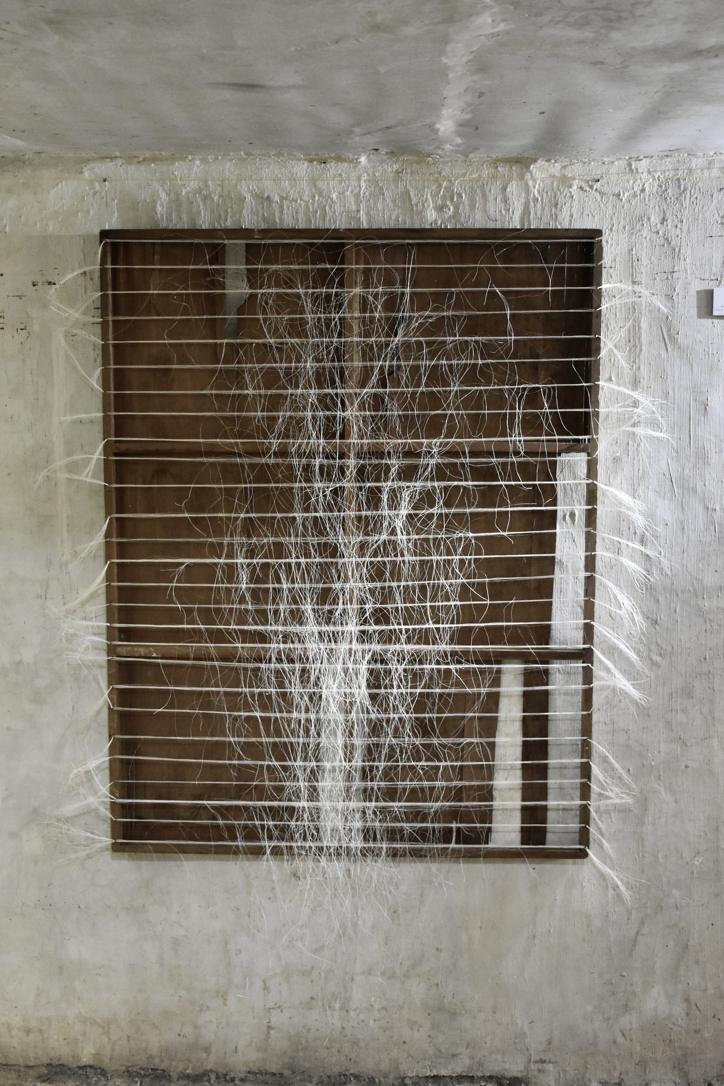 2024-09-25 15.12.03.jpg