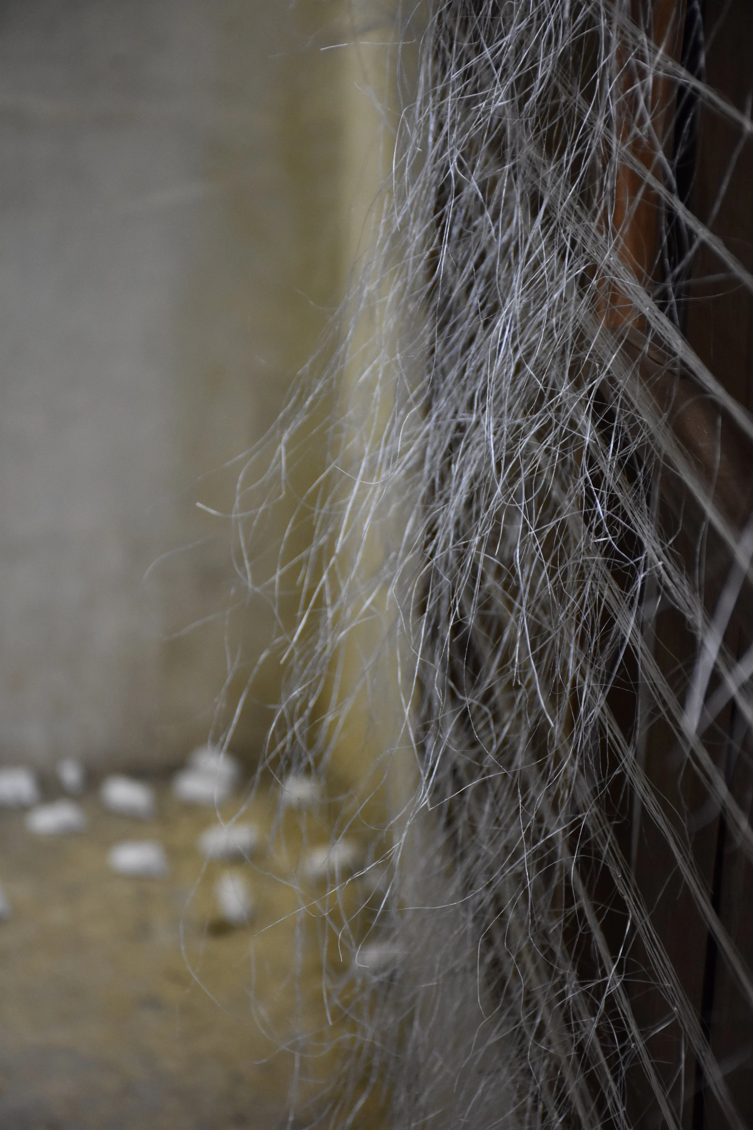 2024-09-25 15.13.17.jpg