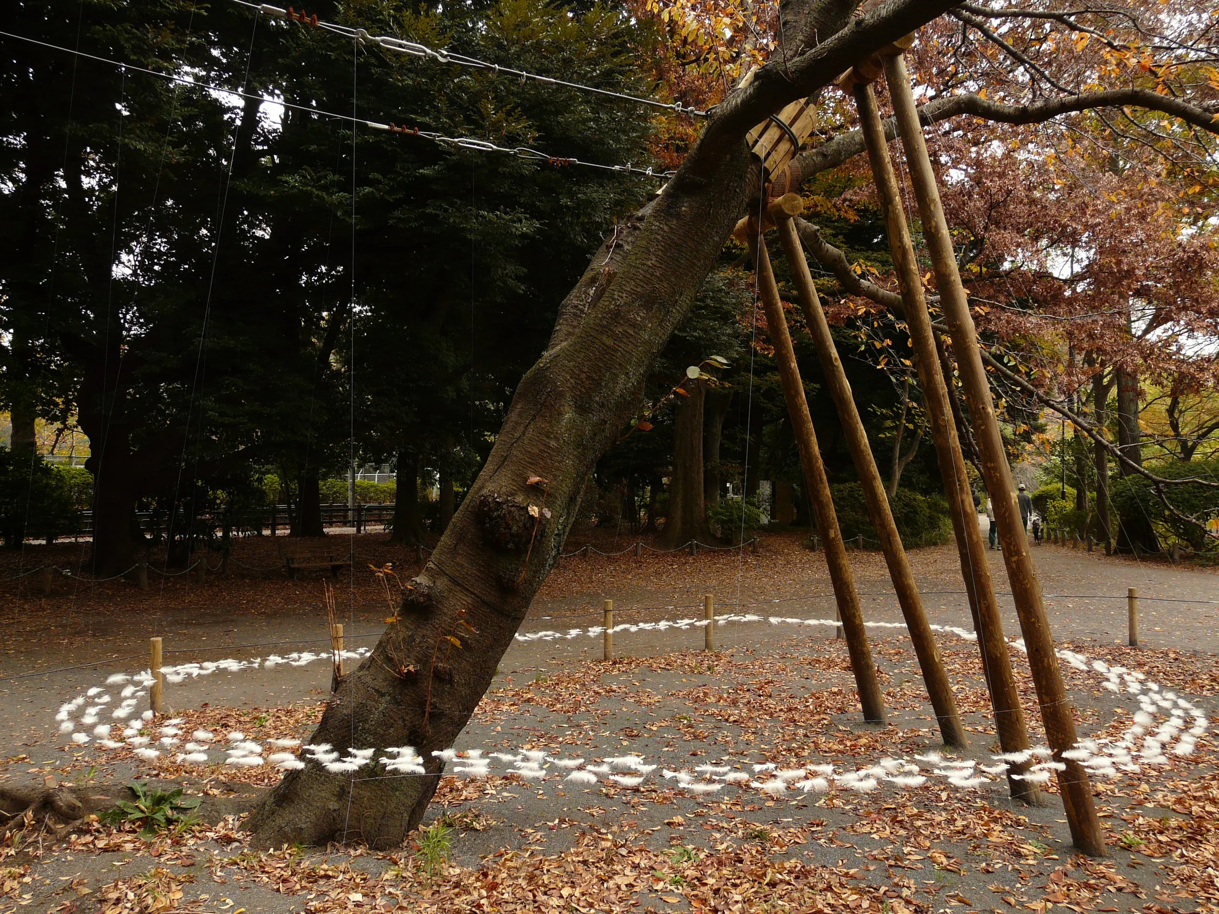 003 Japan Tokyo 2008.JPG