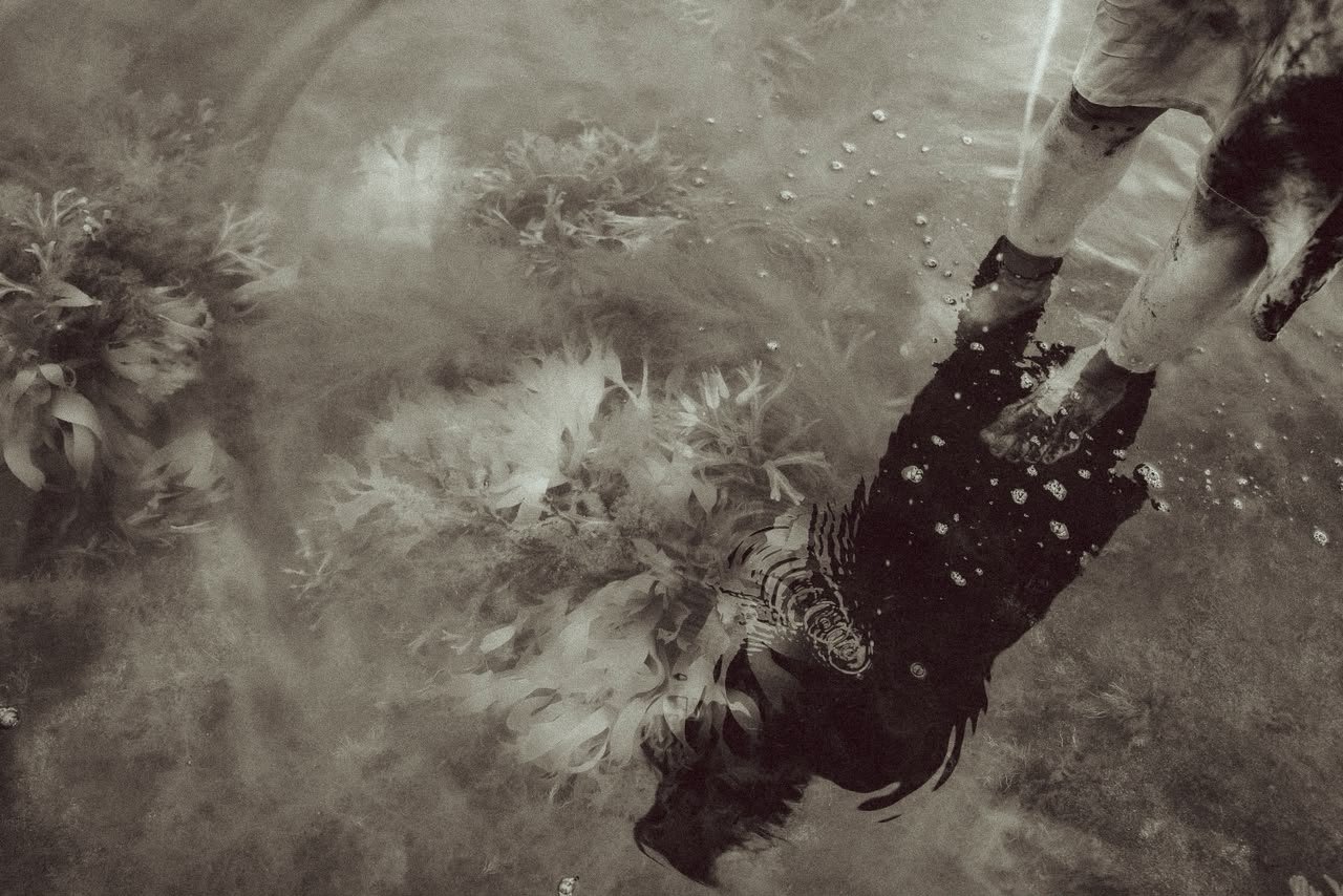 The Ocean Holds the Moon concert & sound relations