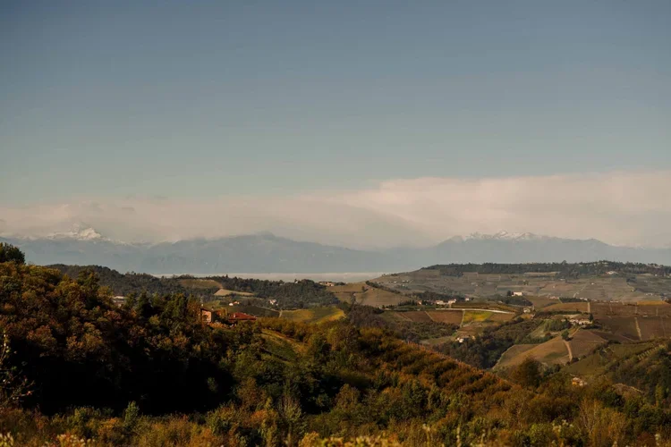 piedmont-01.webp
