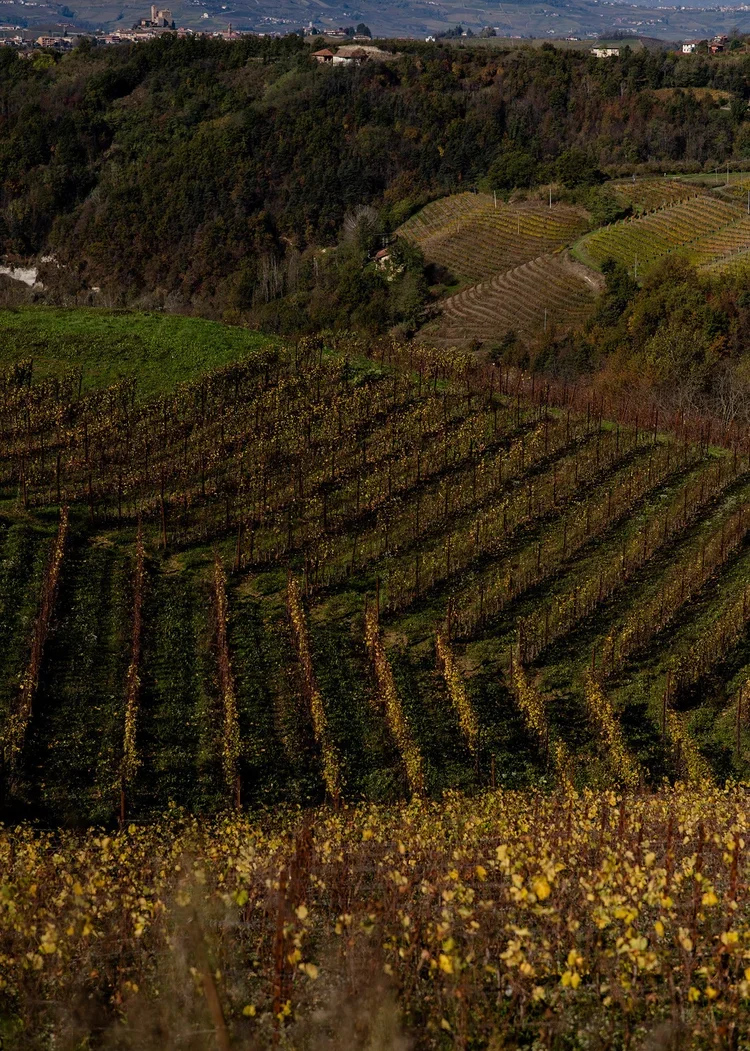 piedmont-13.webp