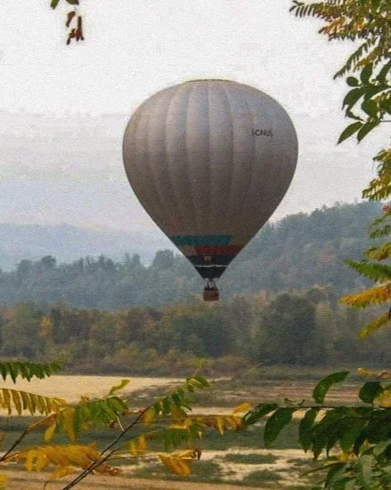 piedmont-17.webp