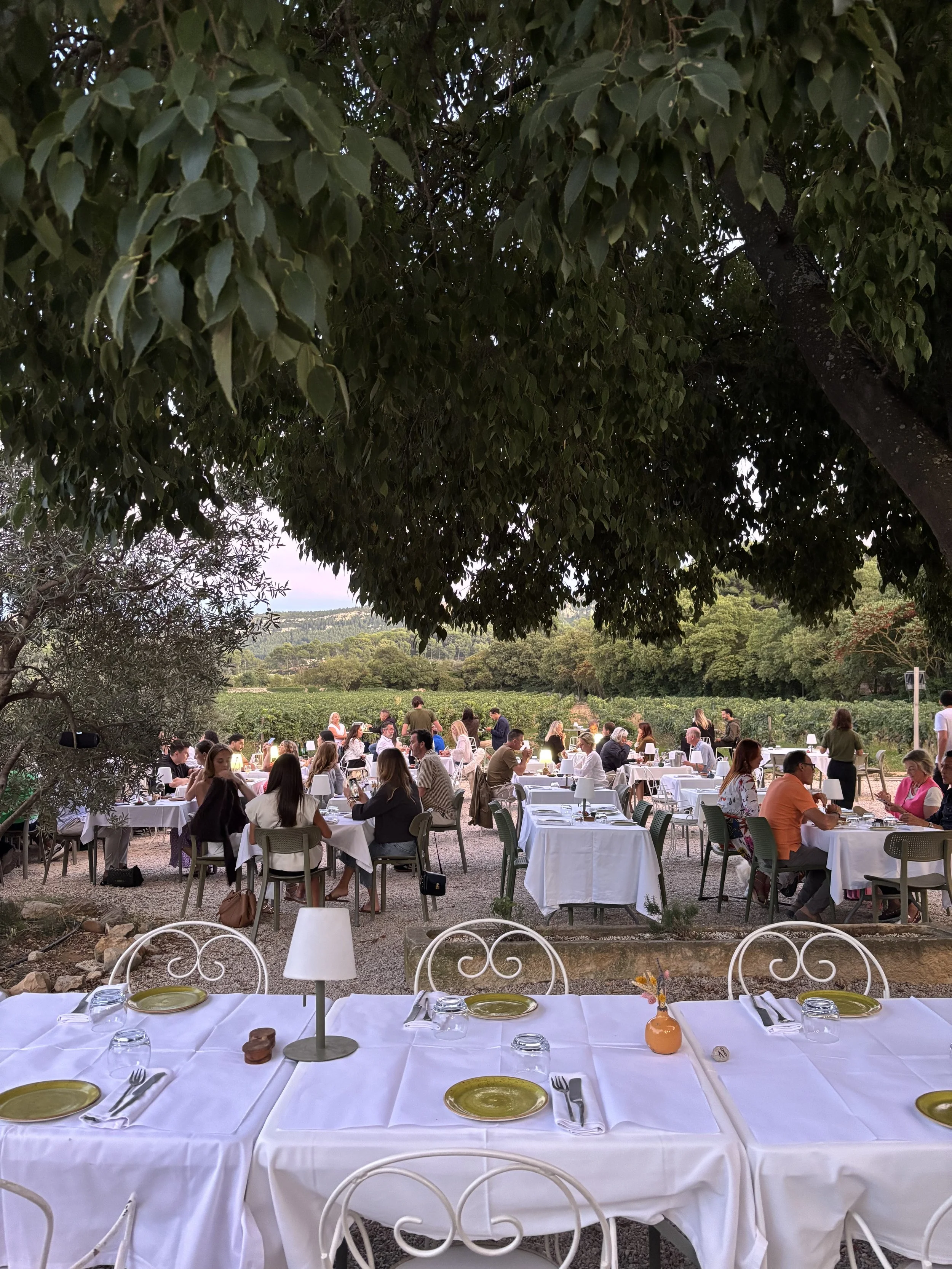 RIVE PI 25 Abondance Image 4.jpeg