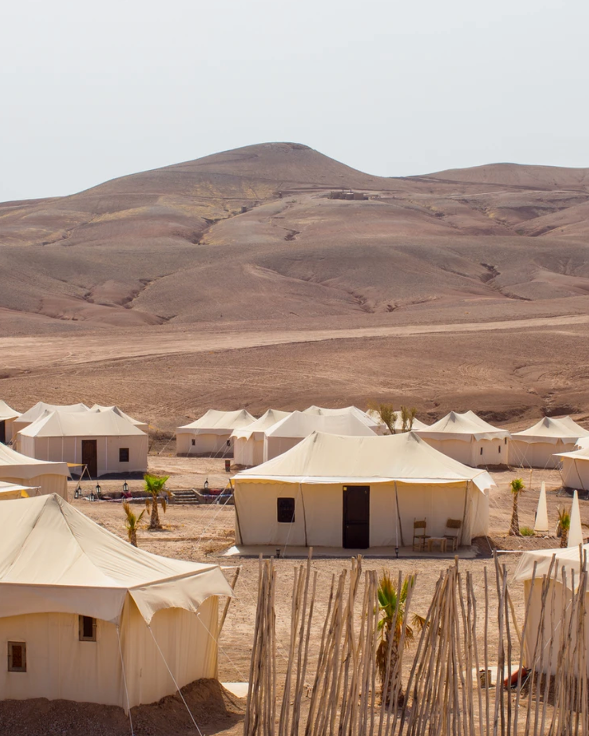 ABONDANCE LKD (2).png