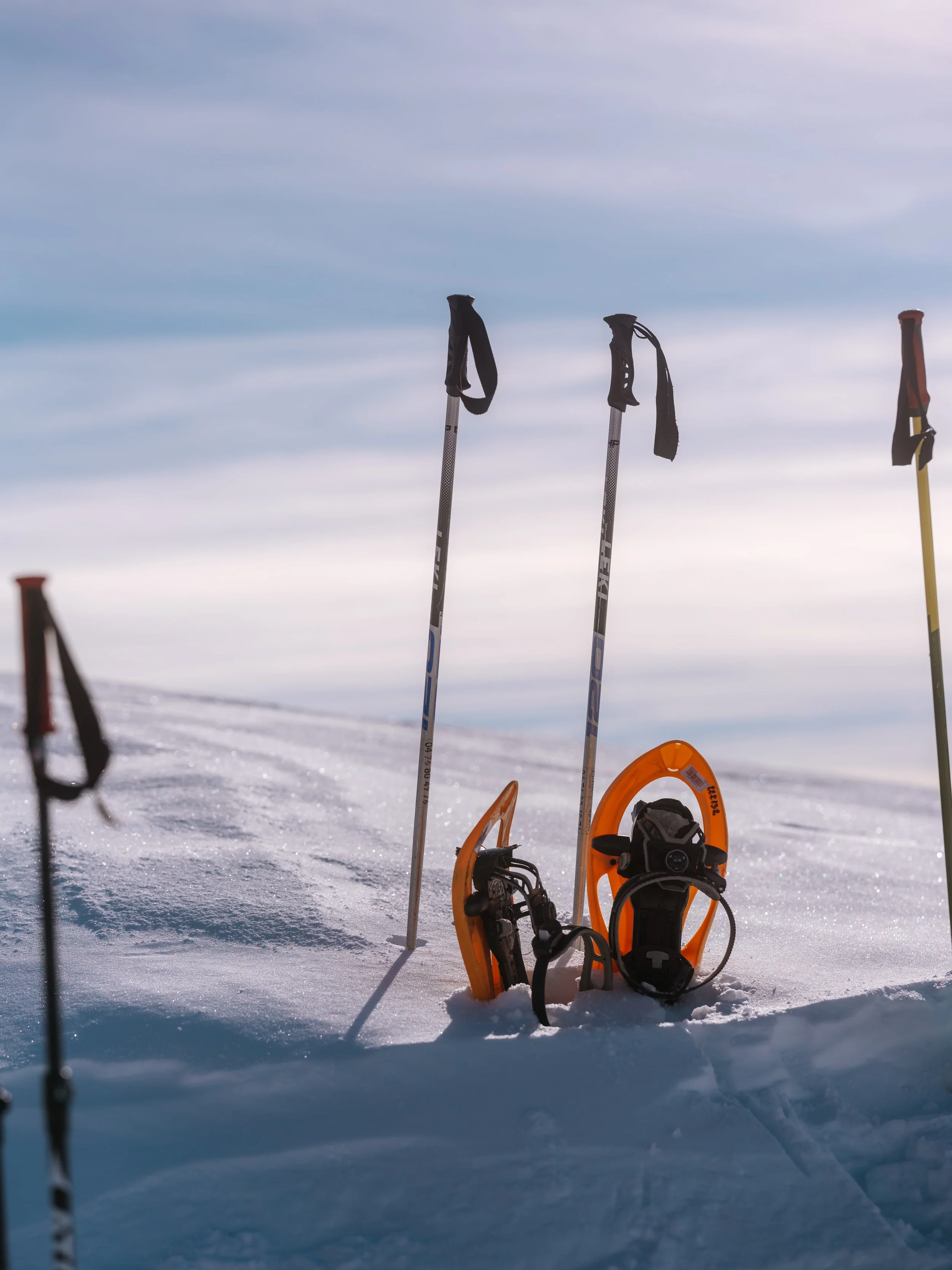 Abondance Experience Alpe d'Huez Jan 26 305.jpg