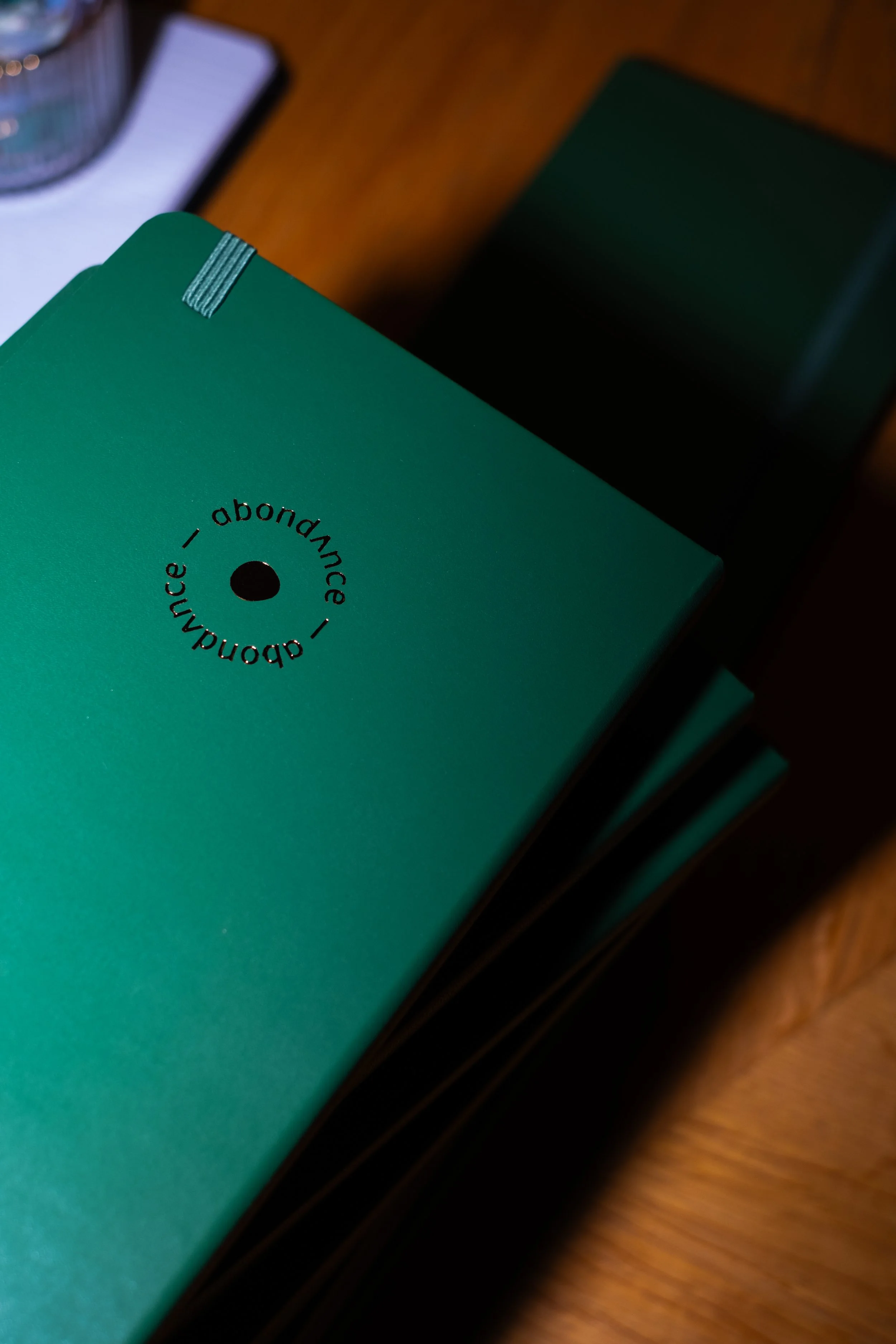 Soirée Abondance 2 Bourrienne (1).jpg