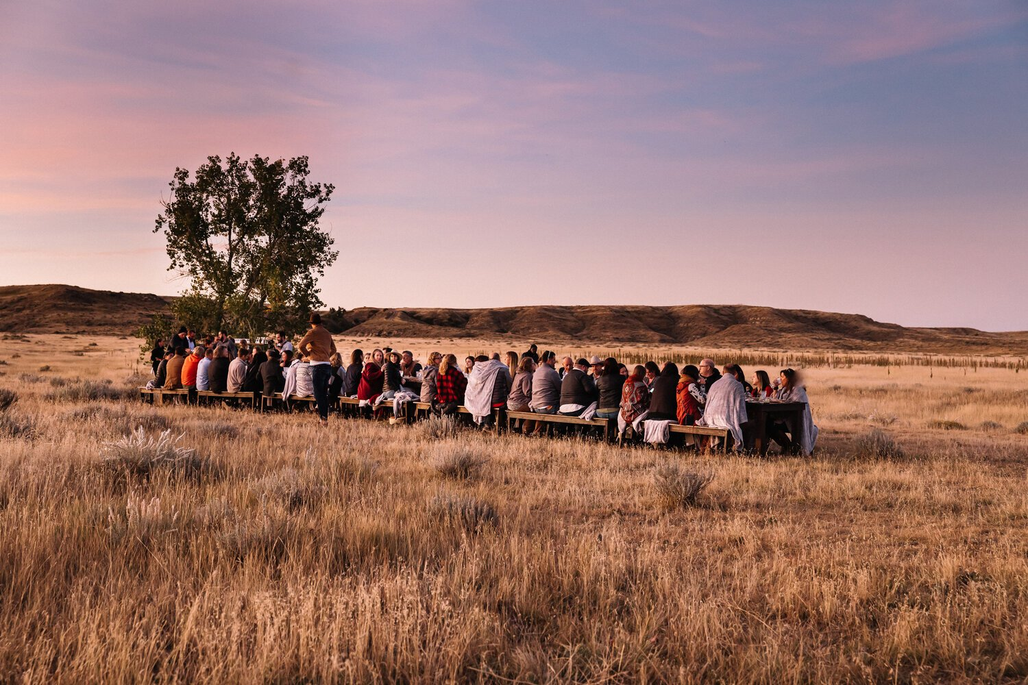 Organiser ensemble votre comité de direction ou exécutif, un accompagnement 100% sur mesure