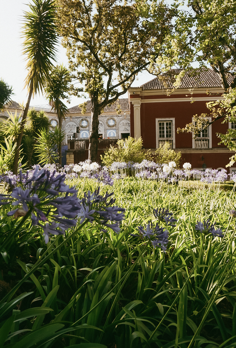 Screenshot 2026-02-20 at 18.12.03.png