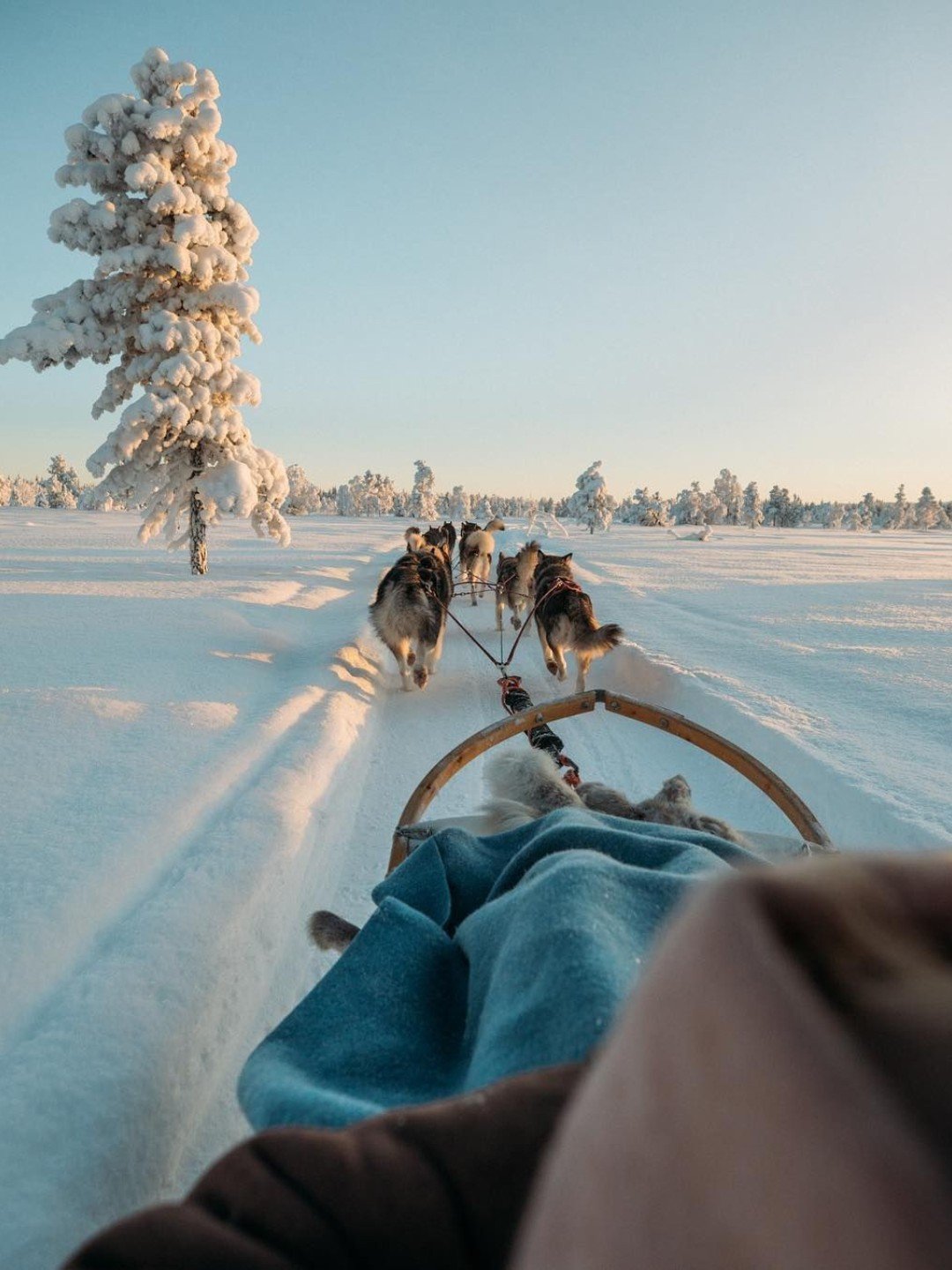 🛷 INSPIRATION &bull; Une balade en chiens de tra&icirc;neau &agrave; travers les paysages enneig&eacute;s, puis un retour au chaud pour un d&eacute;jeuner montagnard au coin du feu.

@eljackson

#AbondanceExperience #ExclusiveExperience #BoardComitt