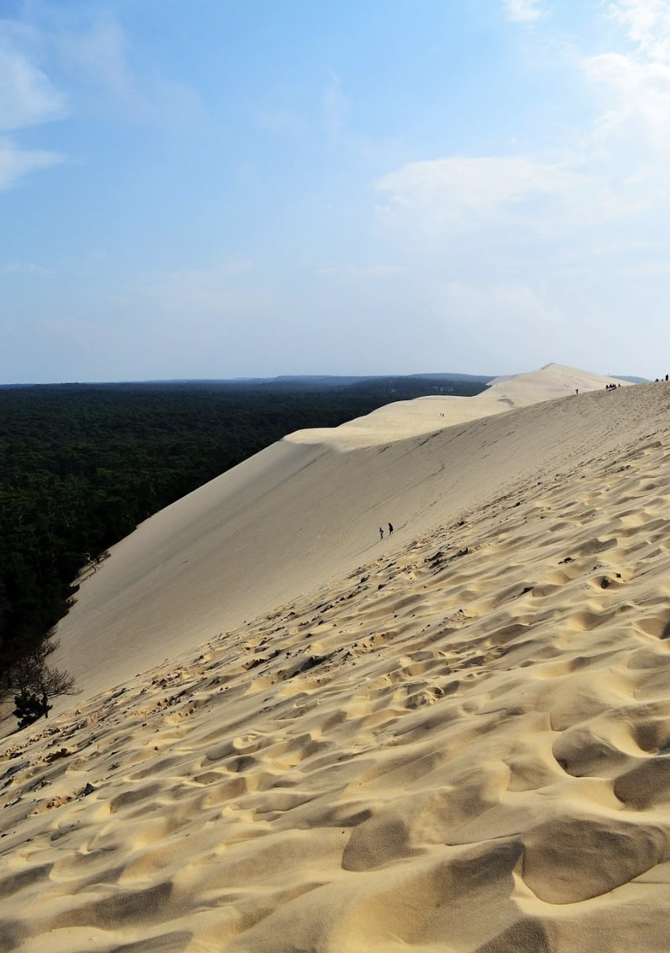 Séminaire d'entreprise au Cap-Ferret : le choix de ceux qui veulent autre chose