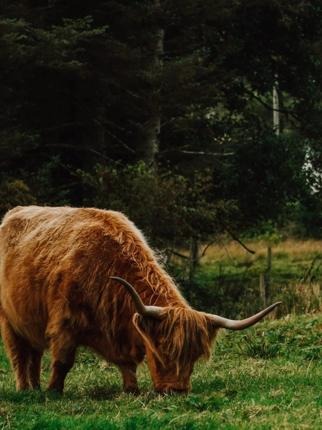unsplash-image-MEERJ6tB2vg.jpg