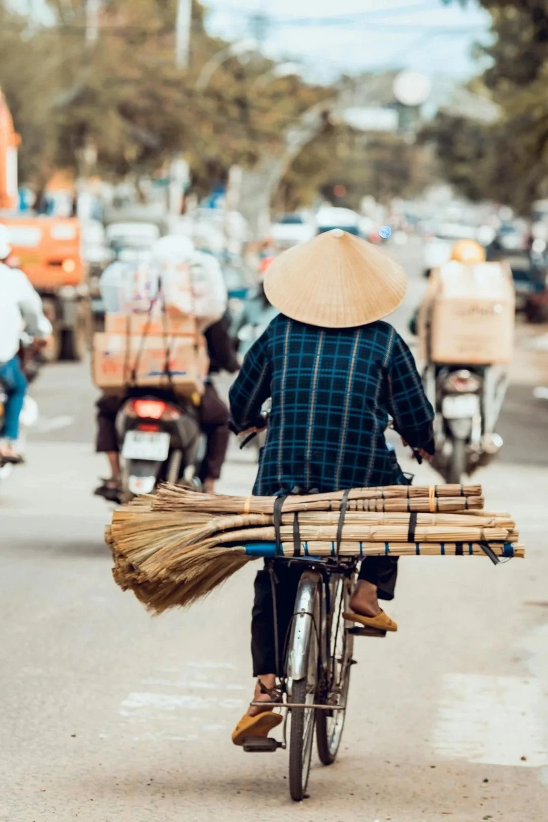 pexels-tieugiang007-34690041.jpg