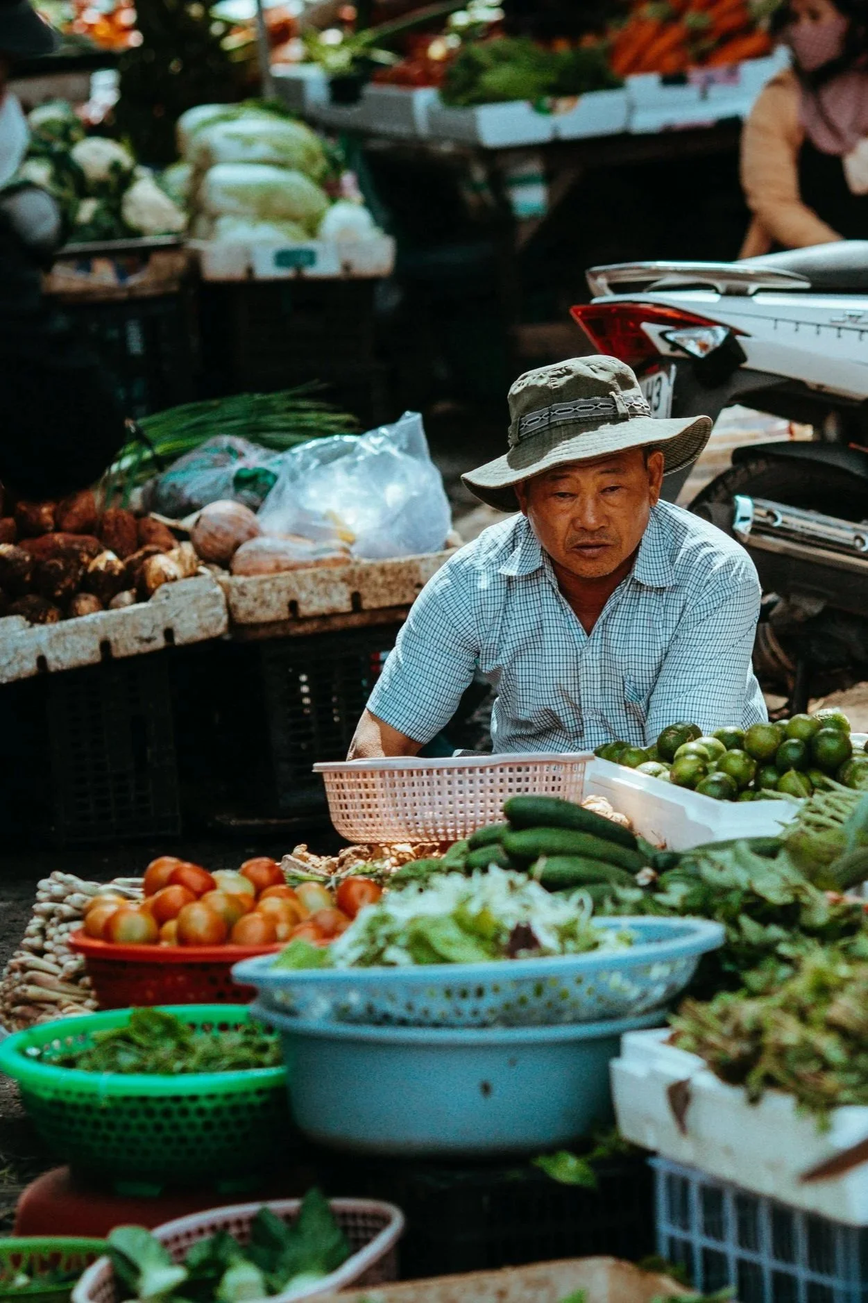 pexels-tieugiang007-34972772.jpg