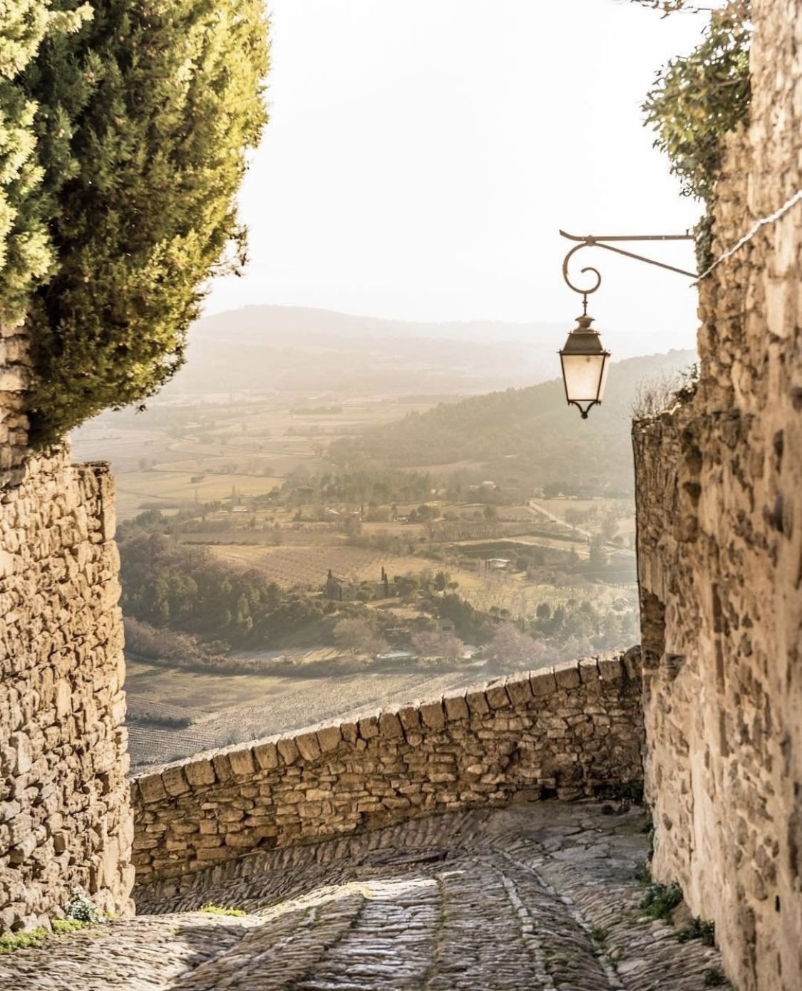 provence.jpg