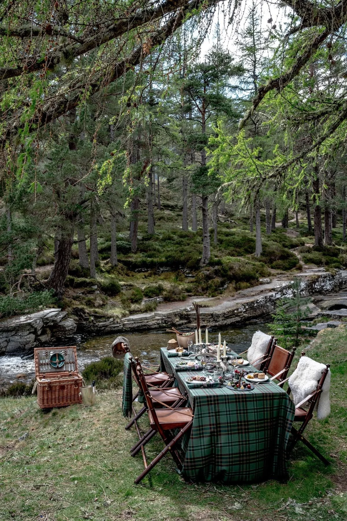 Dîner en pleine nature dans une forêt écossaise
