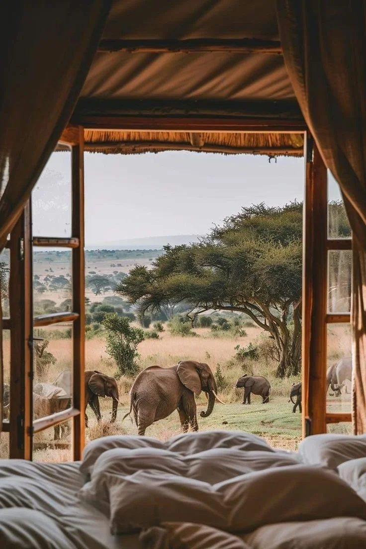 Voyage au Kenya