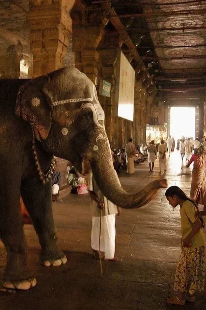 Voyage en Inde : cap au Sud