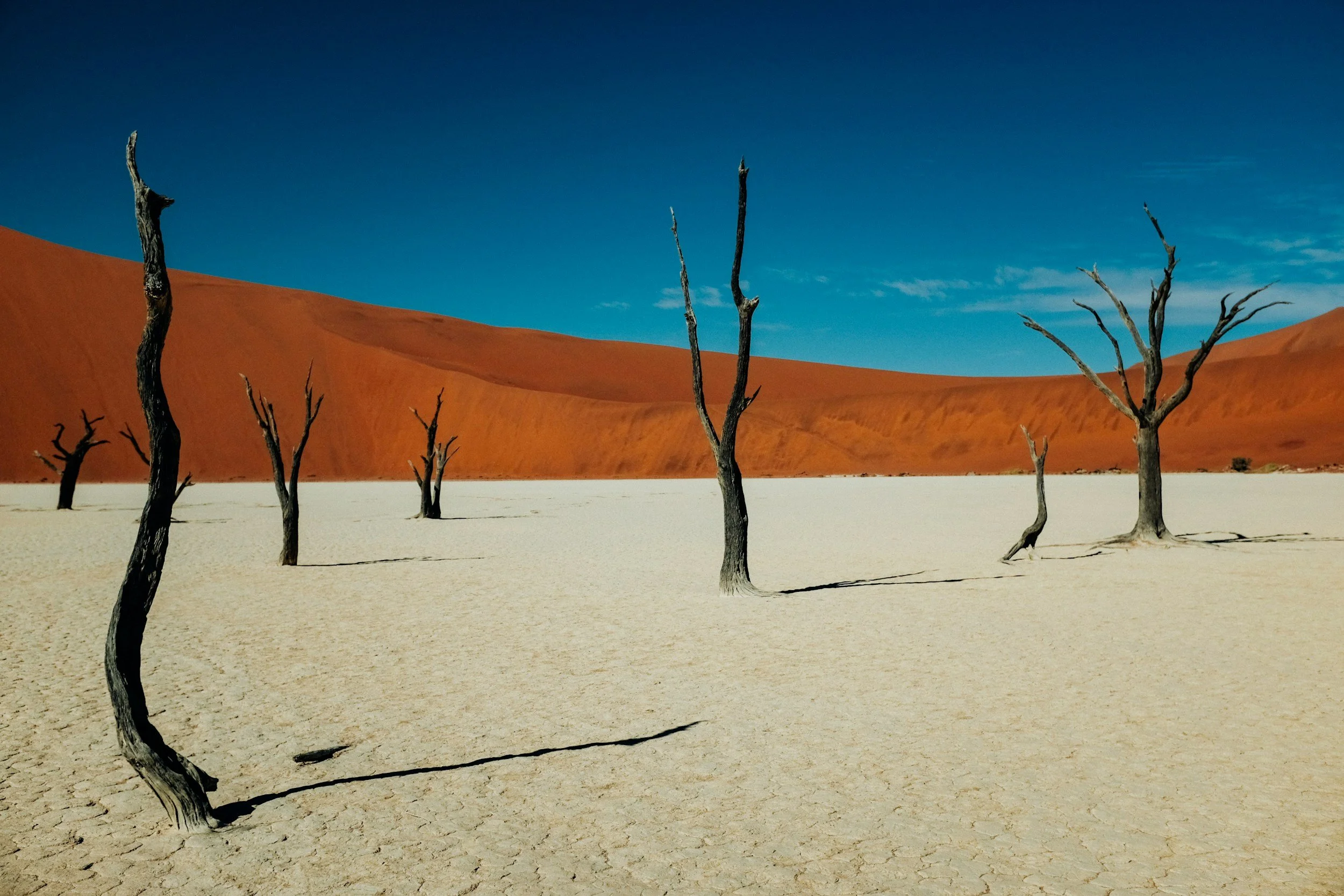 Dunes rouges et arbres morts de Dead Vlei en Namibie