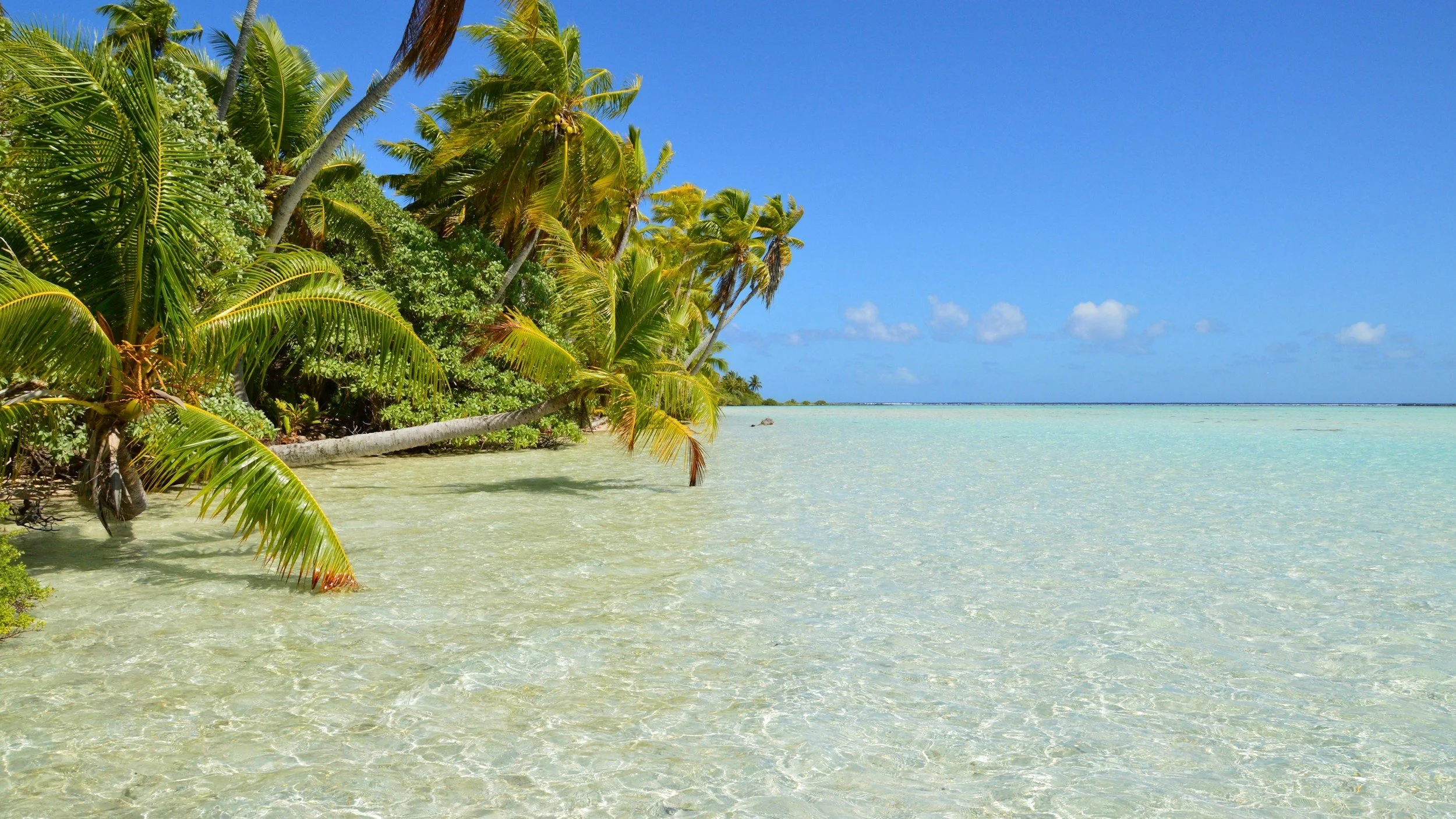 Lagon turquoise de Moorea, Polynésie française