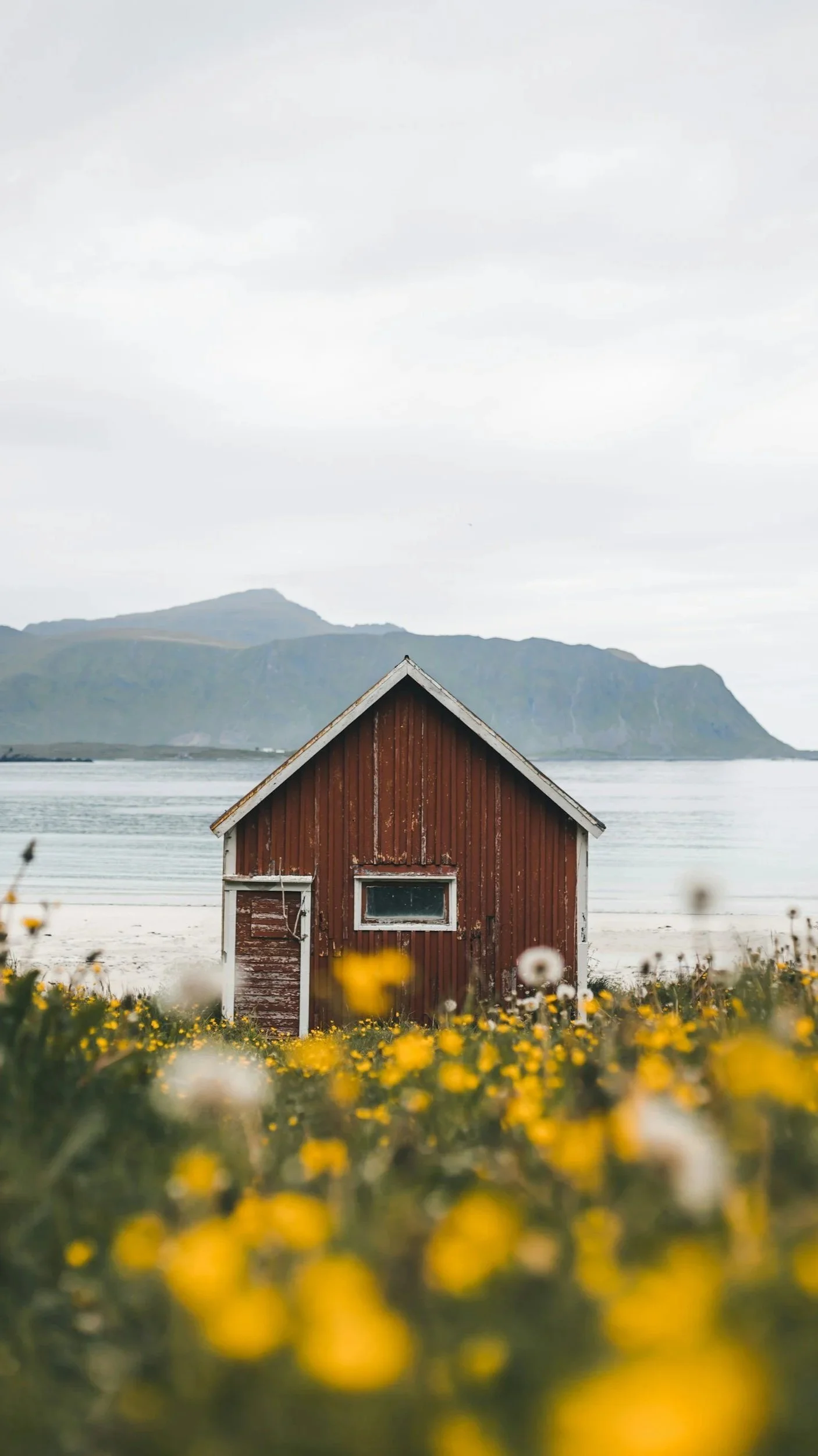 unsplash-image-a7PJamFVbZI.jpg