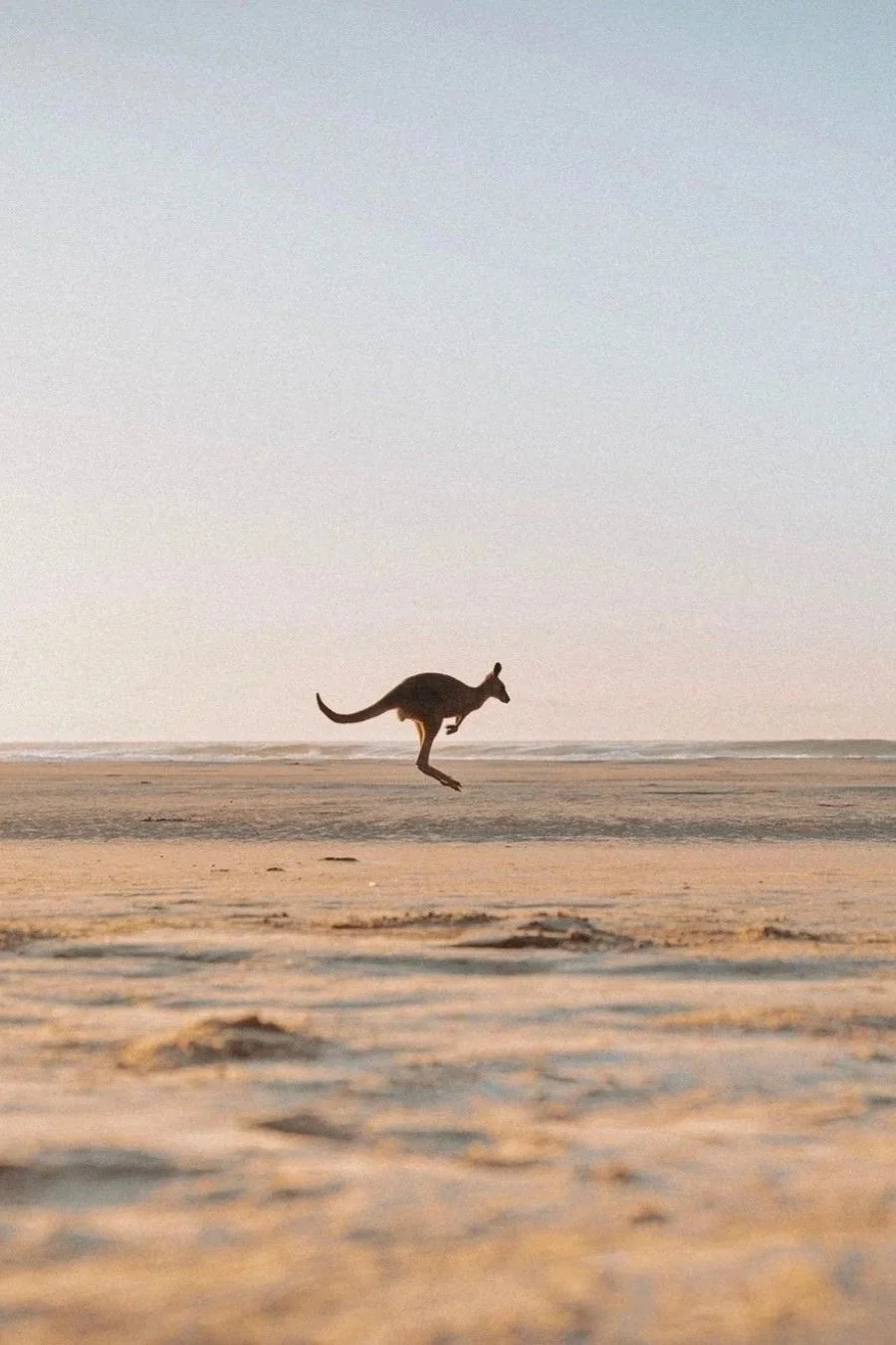 Voyage en Australie