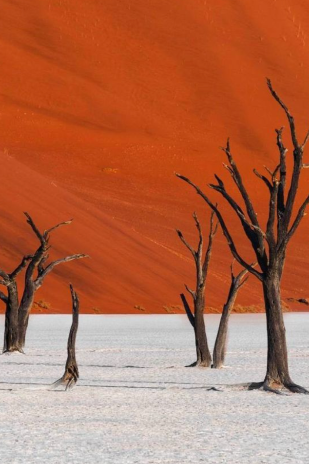 Voyage en Namibie