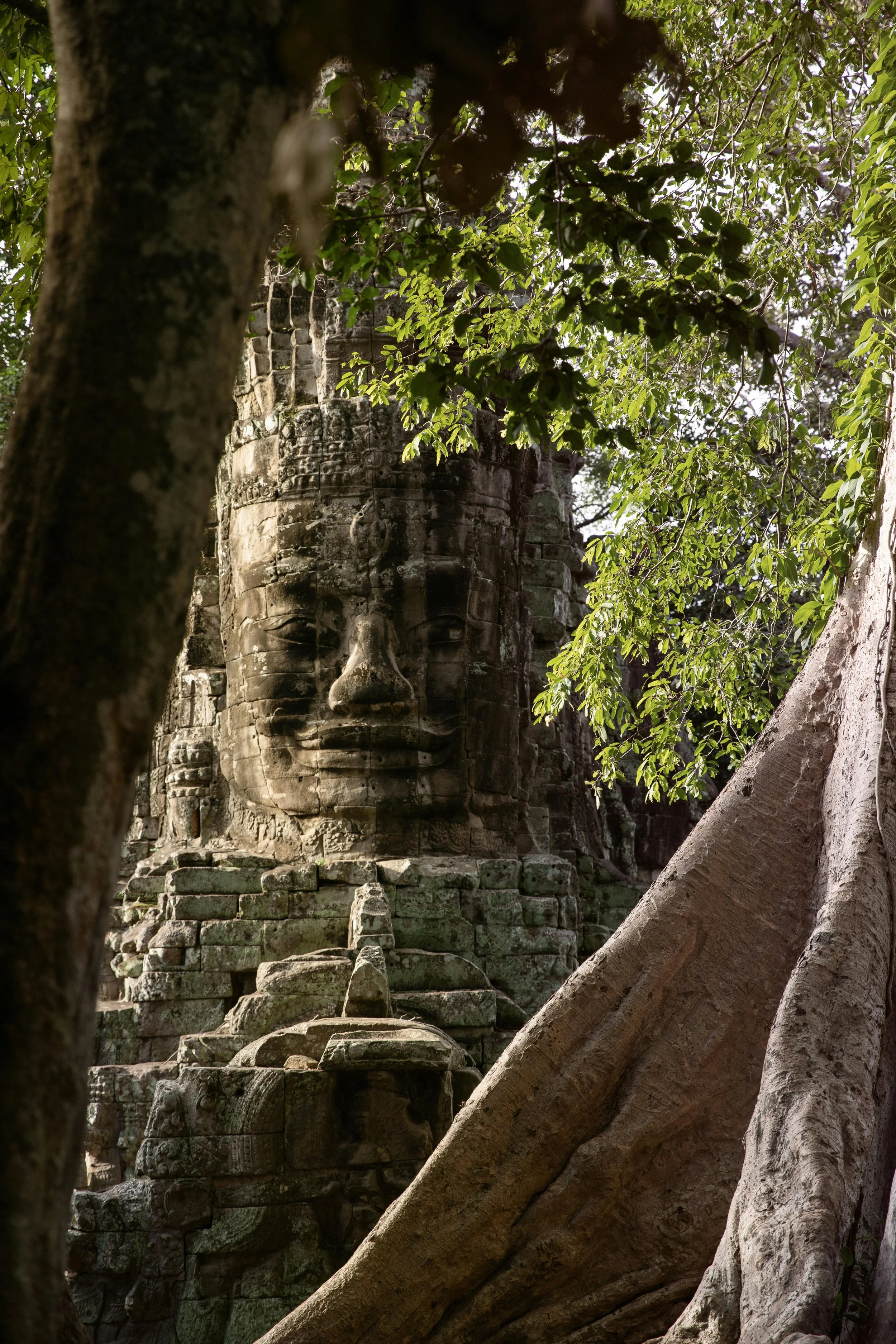 Temple d’Angkor envahi par la jungle au Cambodge entre pierres anciennes et racines majestueuses